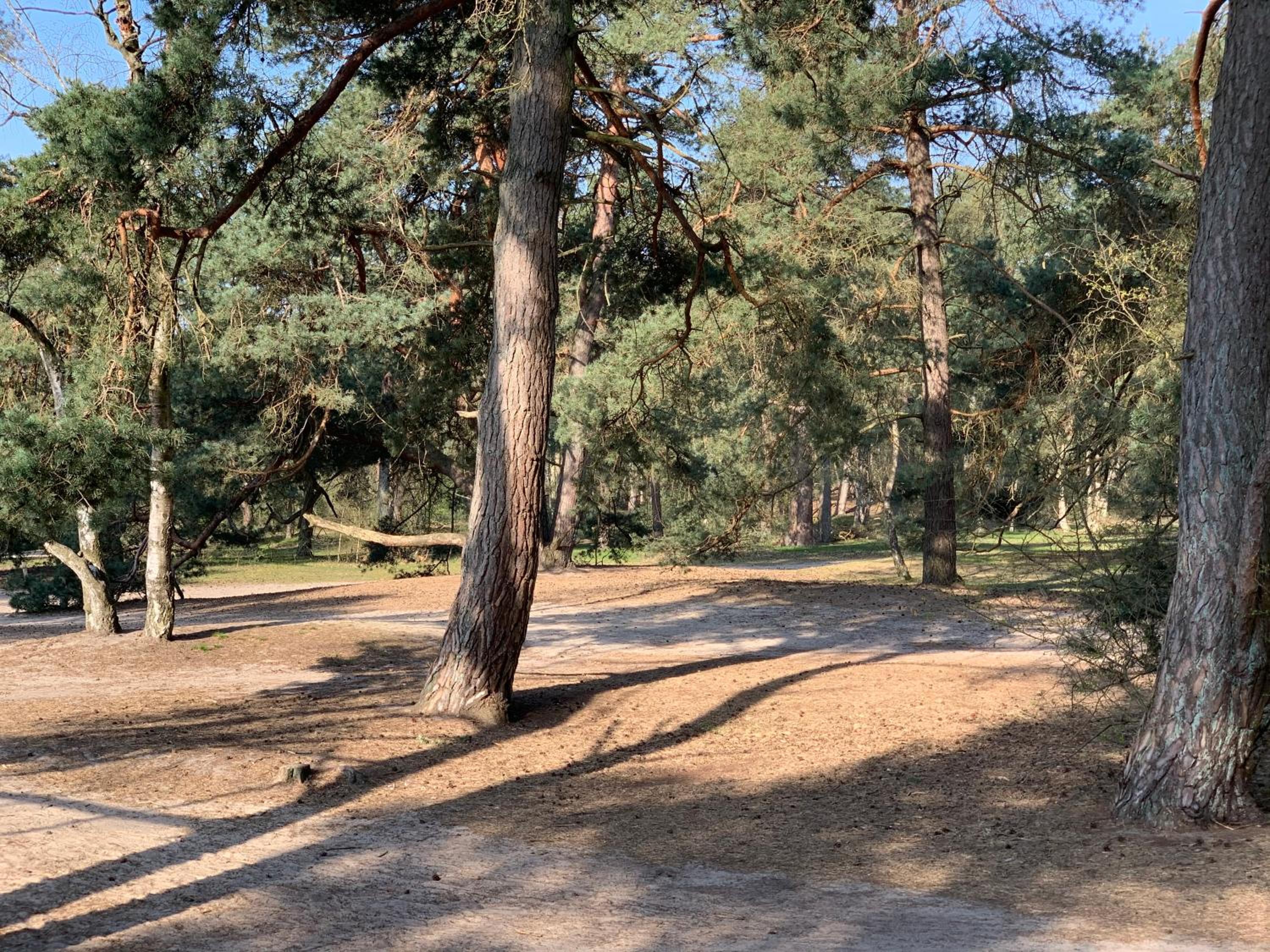 vakantiewoning De Lutte
