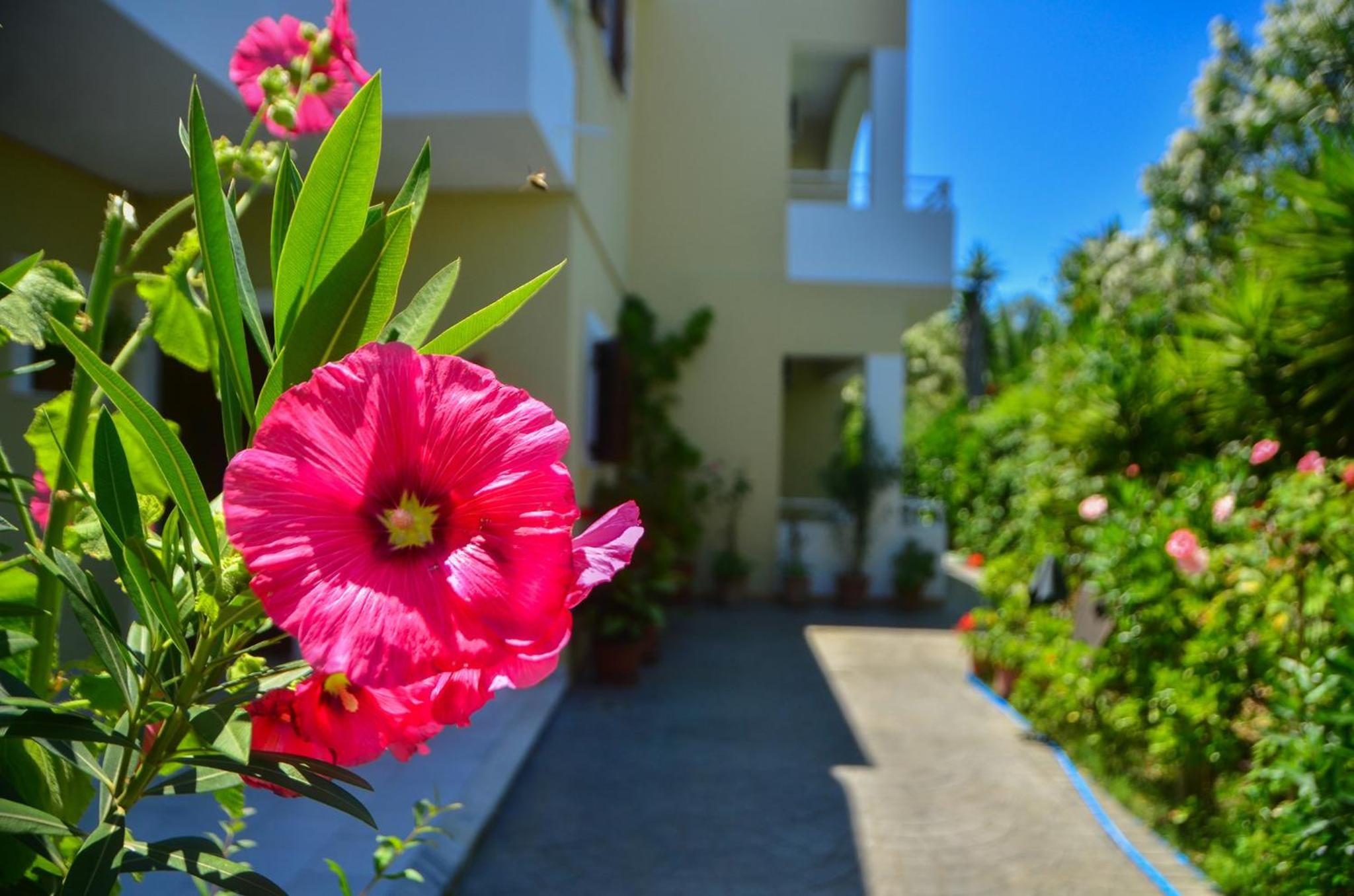 Hotel Club Maria Sidari - Image 1