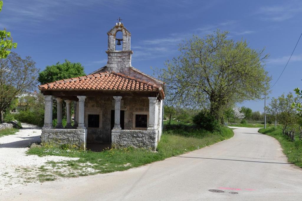 Photo 45