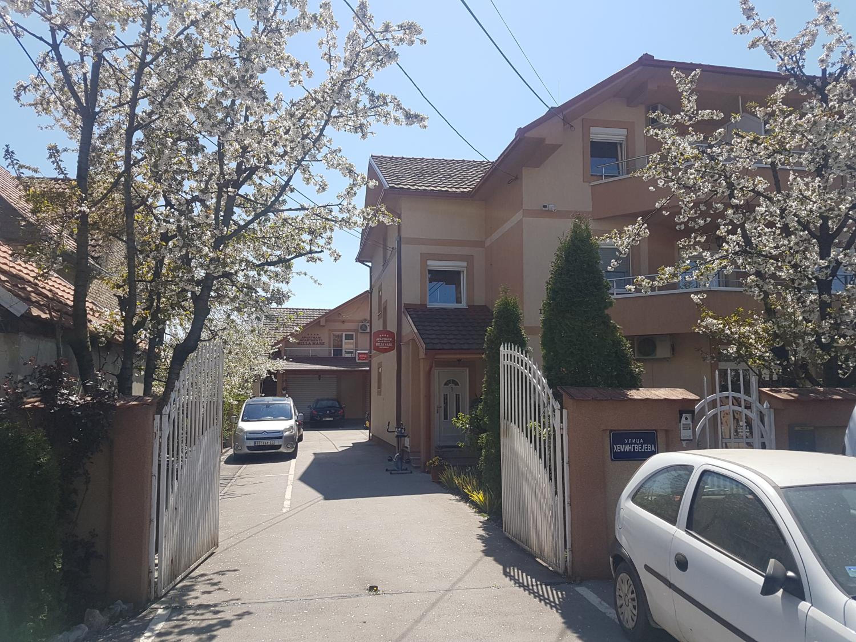 Photo 17