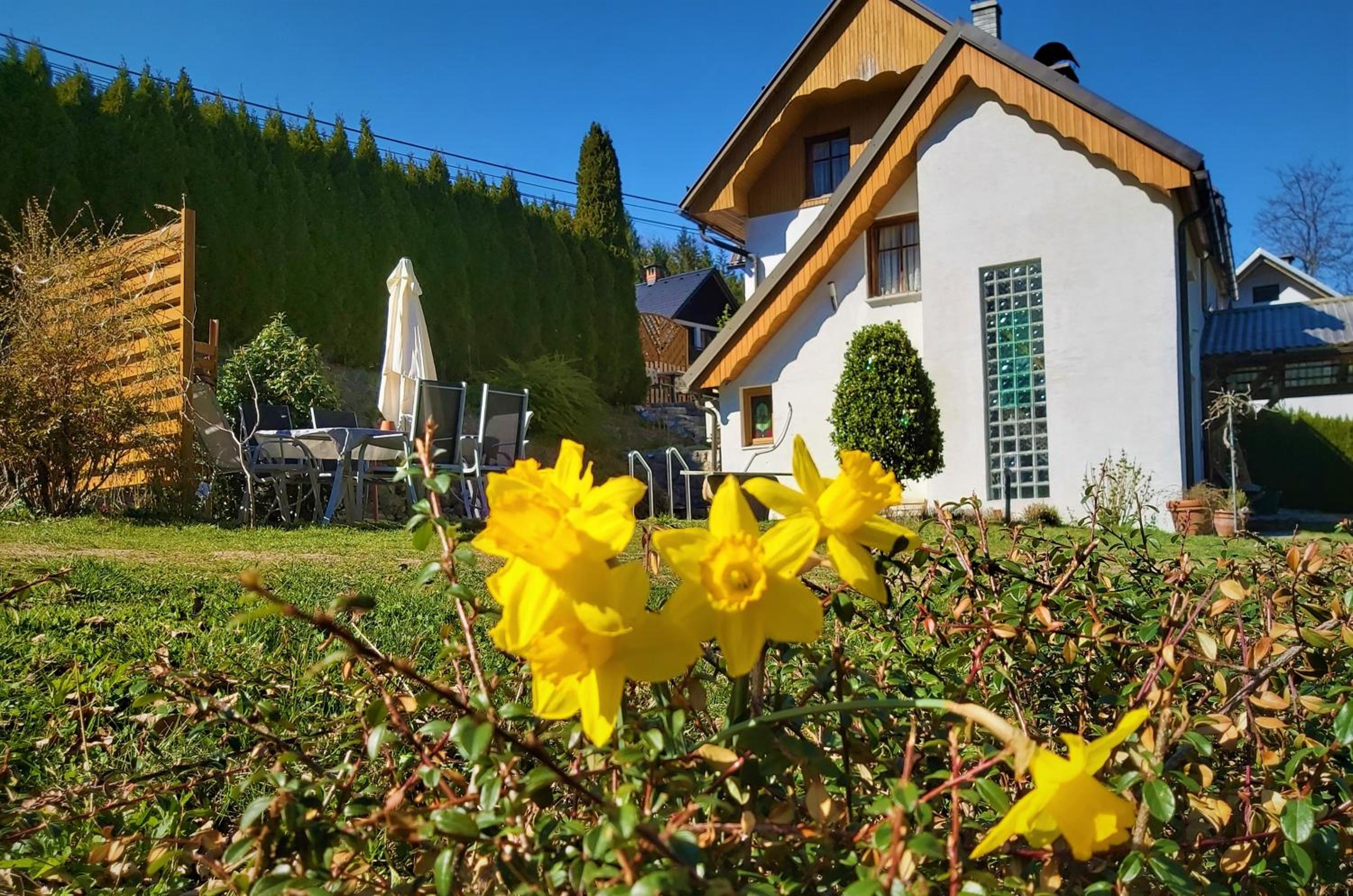 InGreen house view 5