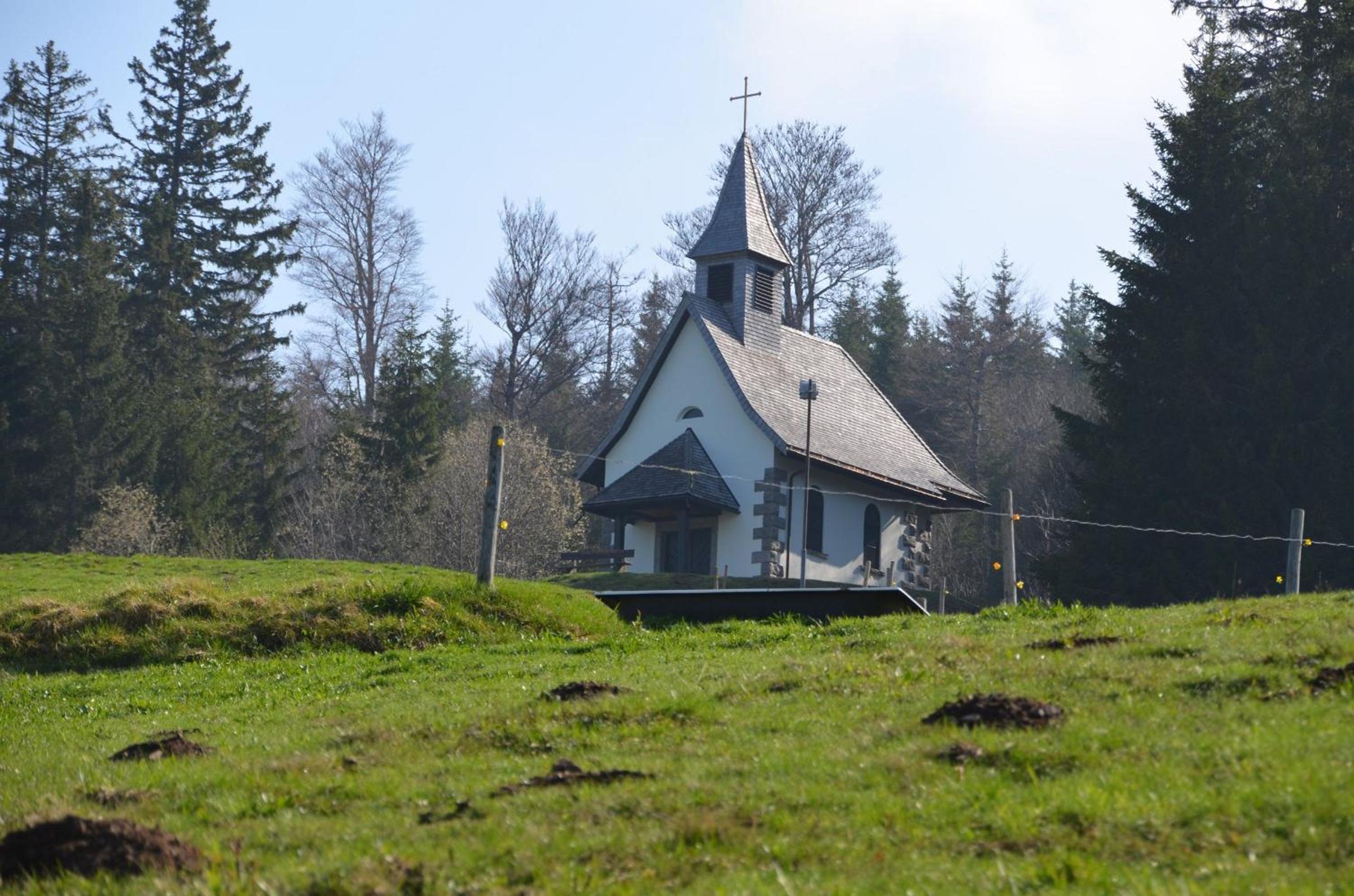 Photo 15