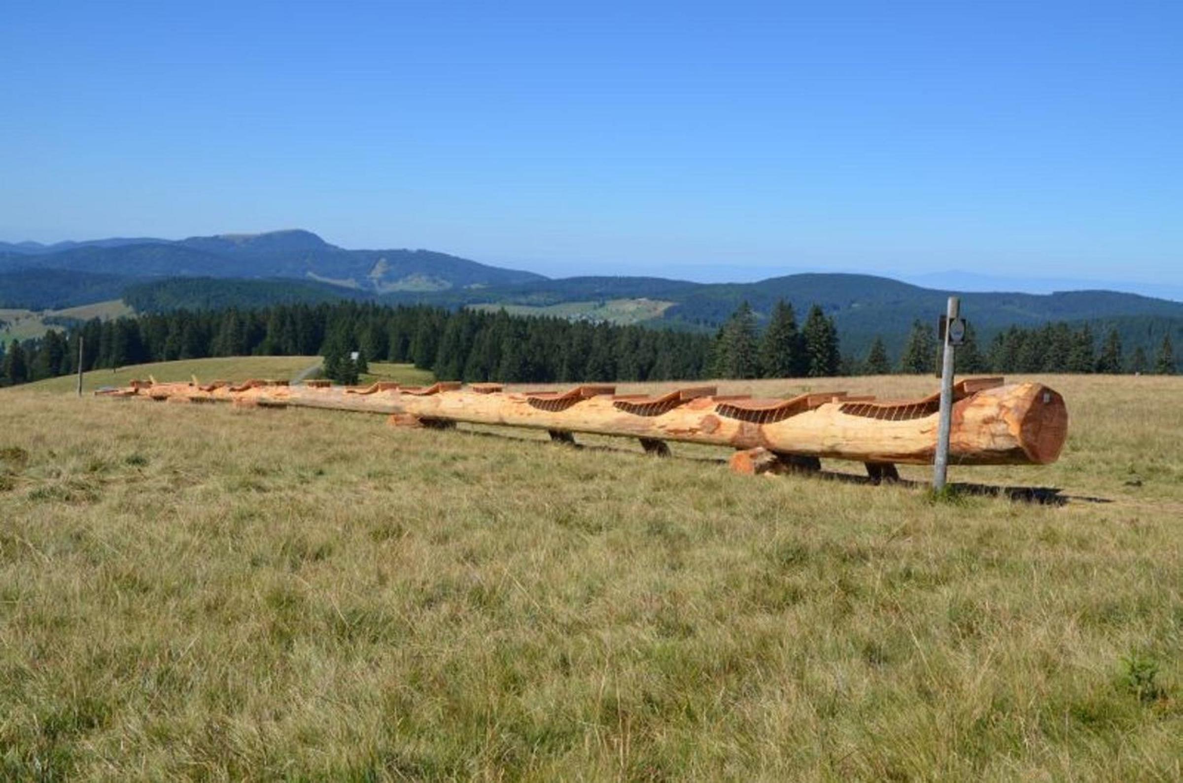 Drei Tannen view 3