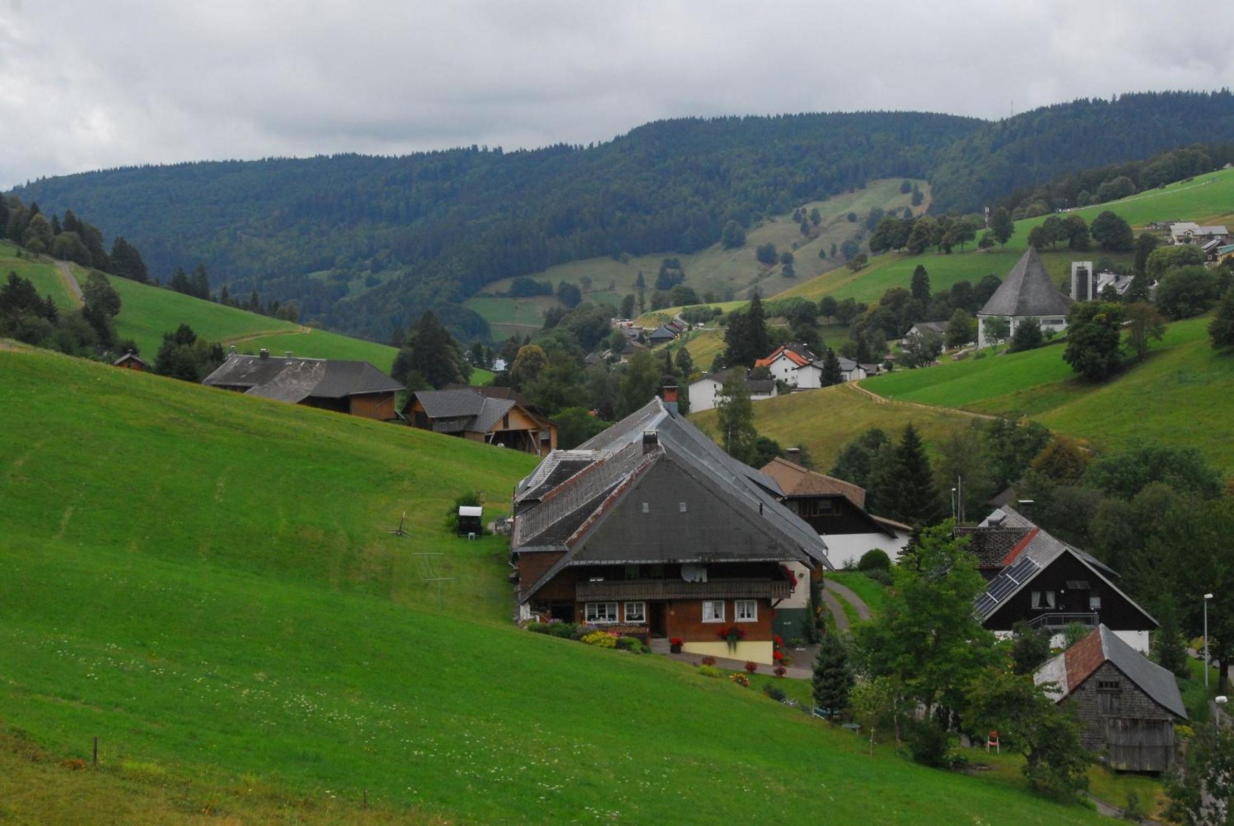 Drei Tannen view 2