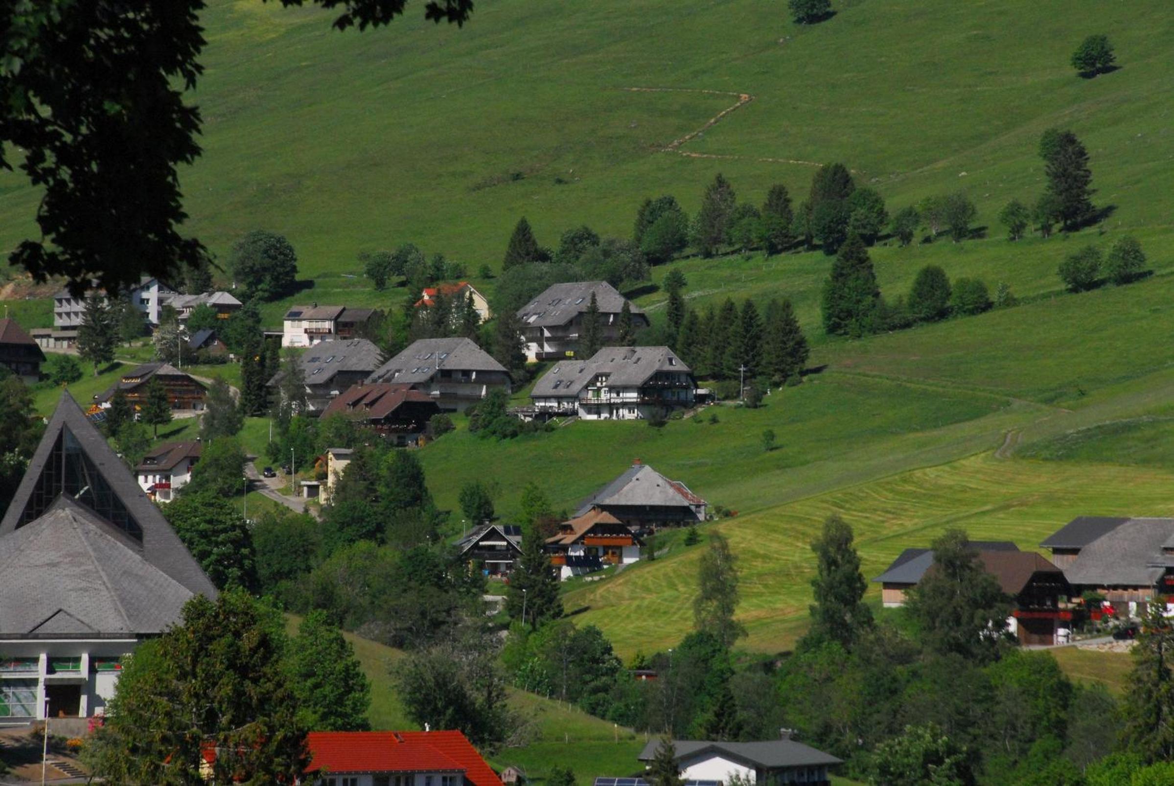 Drei Tannen view 5