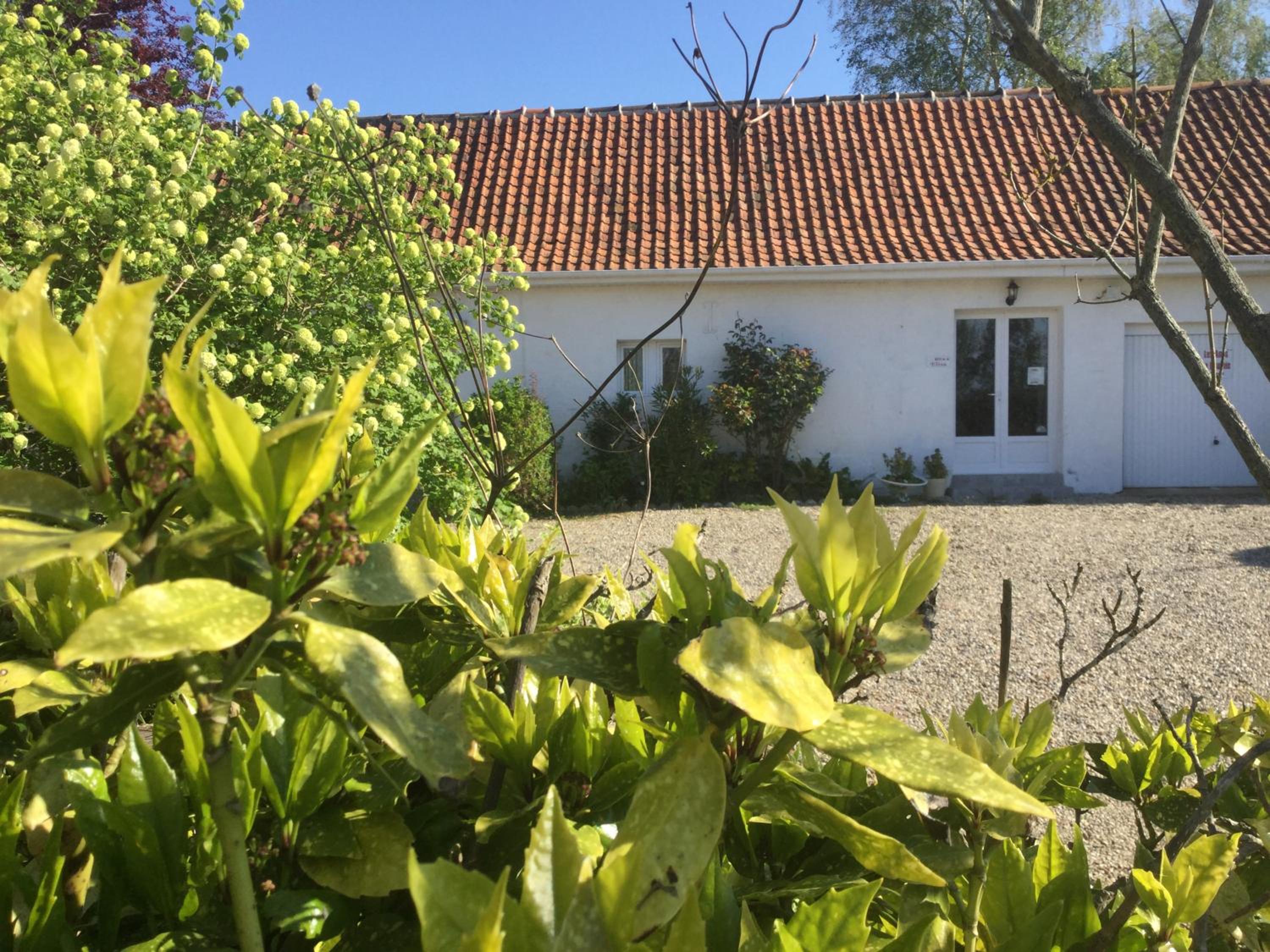 Photo 16