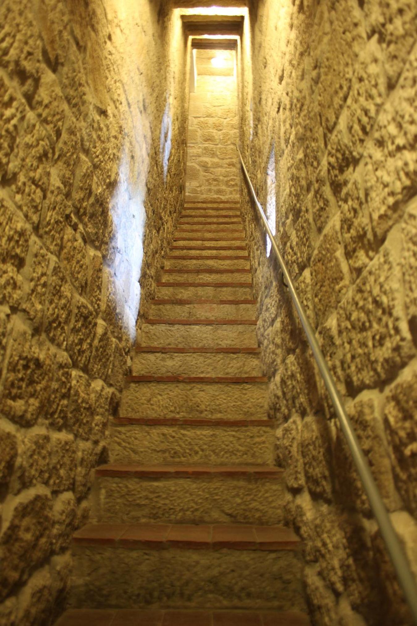 Photo 51