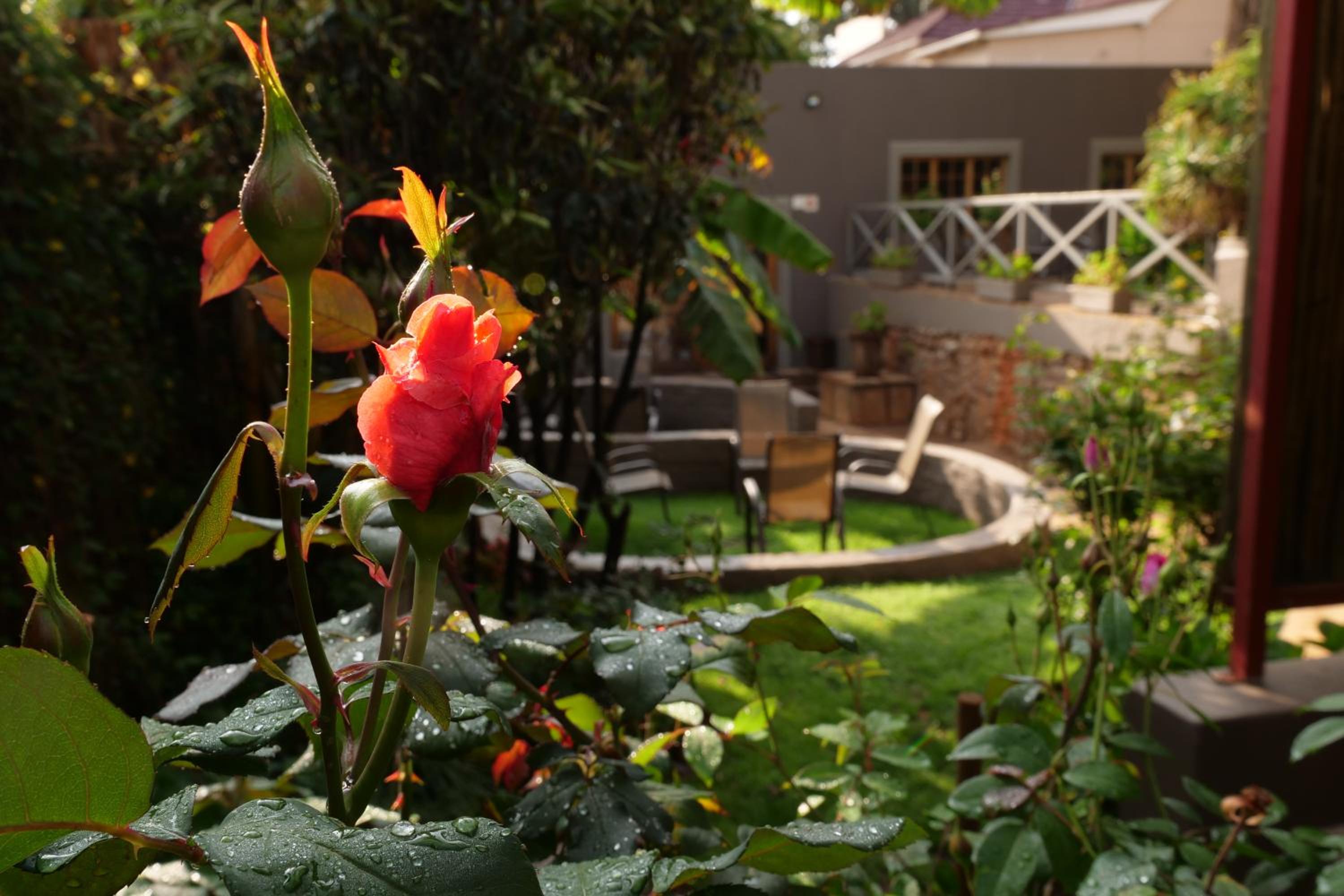 7th Street Guesthouse
