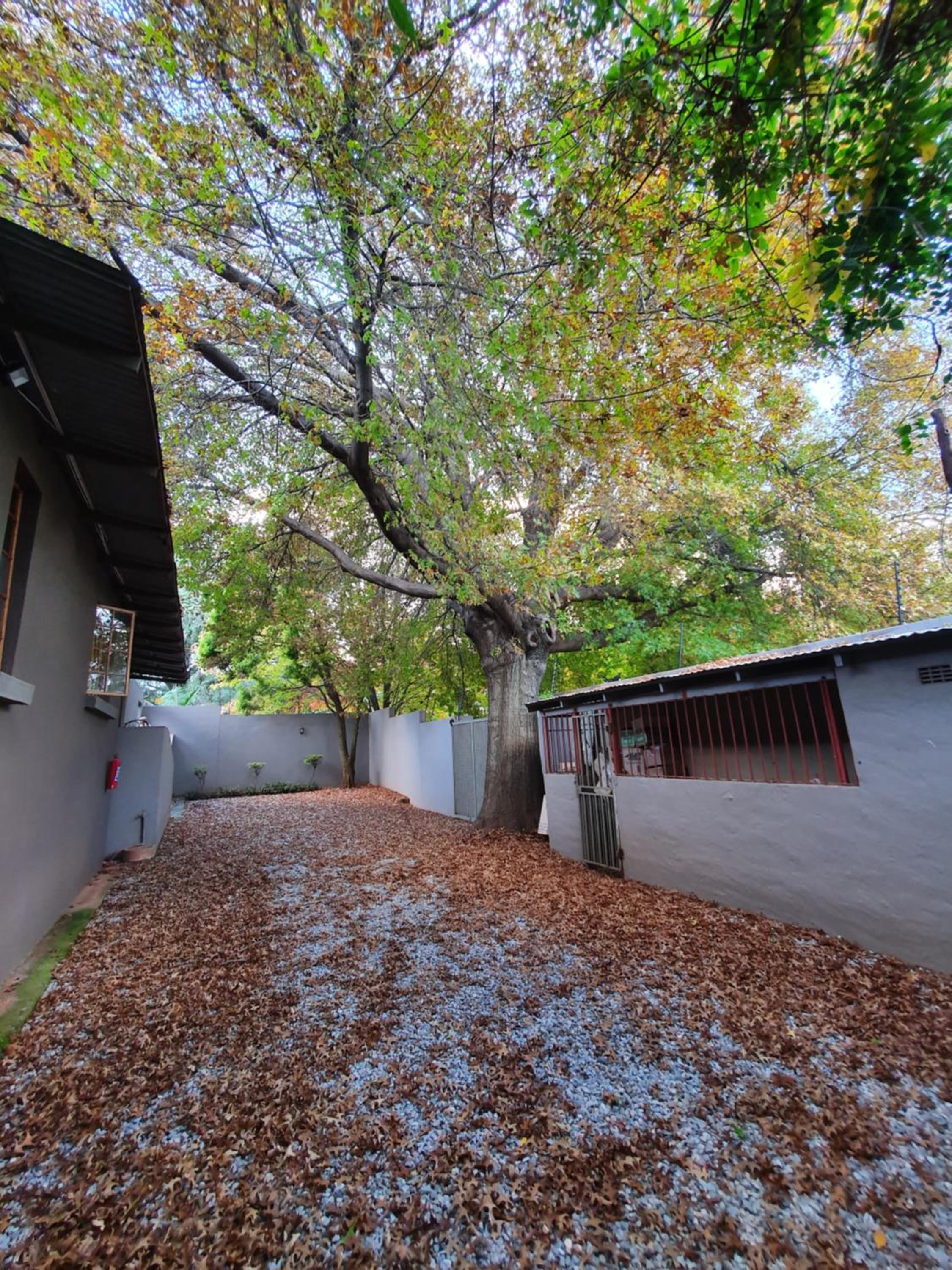 7th Street Guesthouse