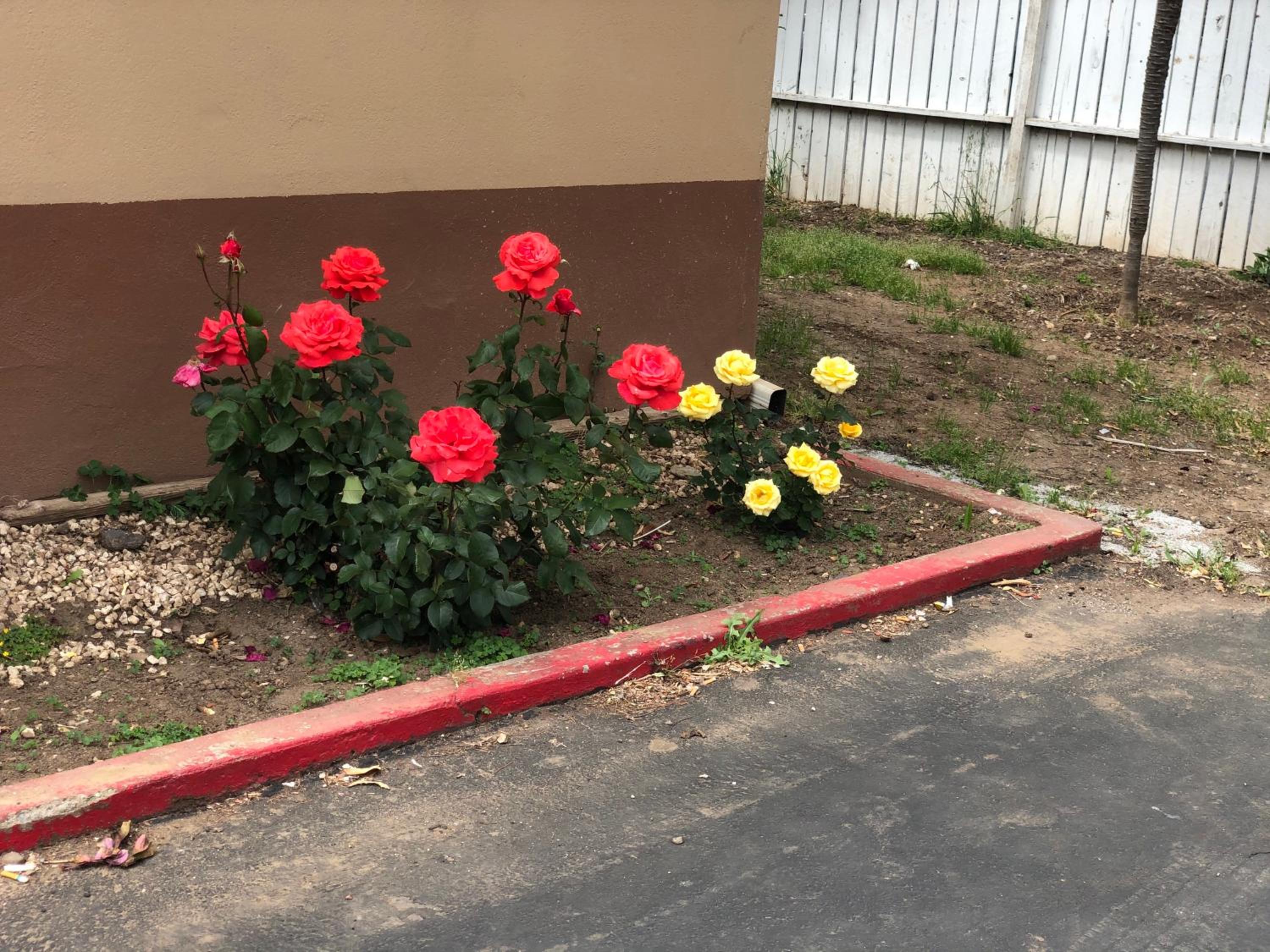 Willows Vacations - Haven Inn of Chico - Property Image 5