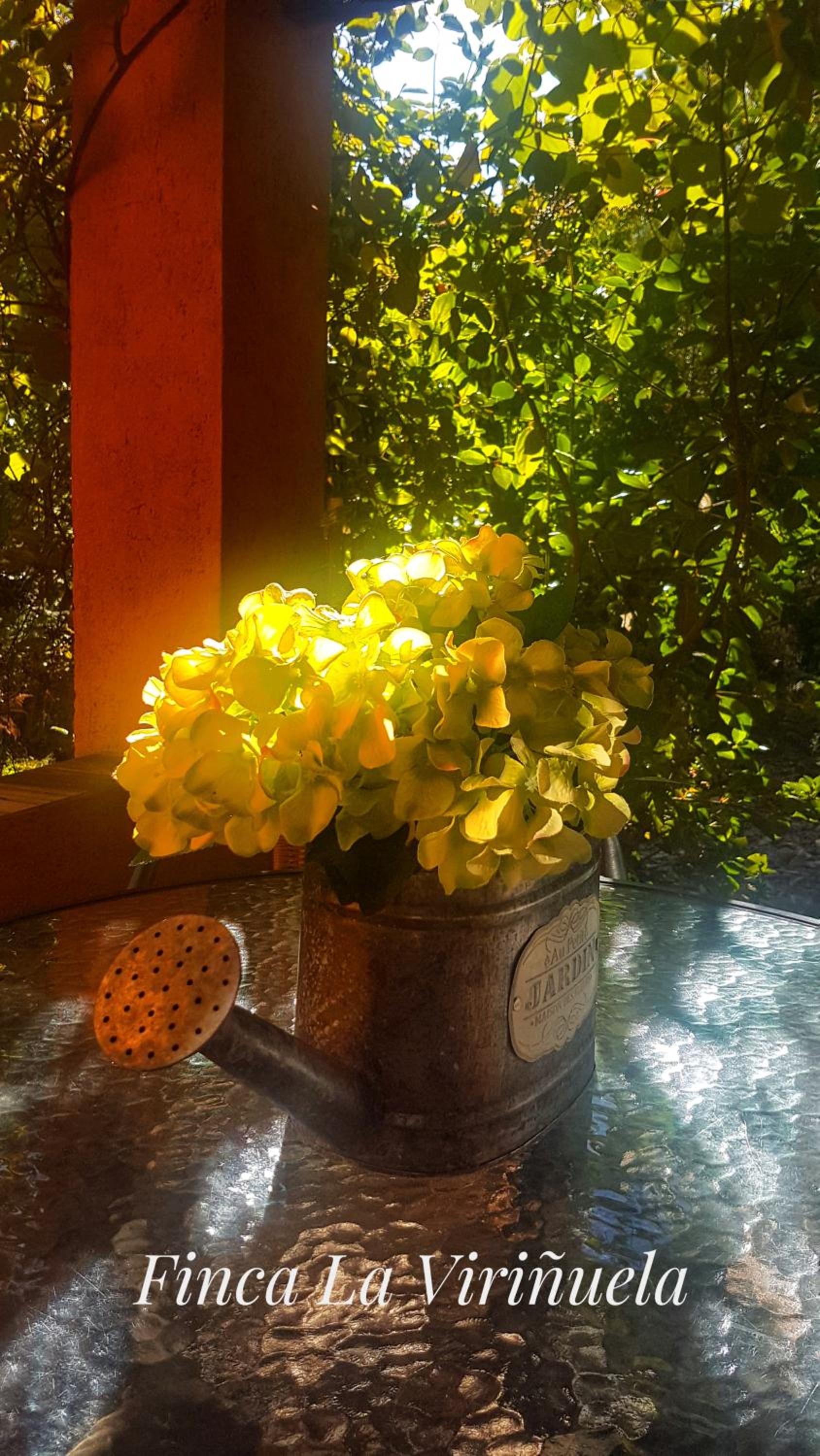 Finca la Viriñuela