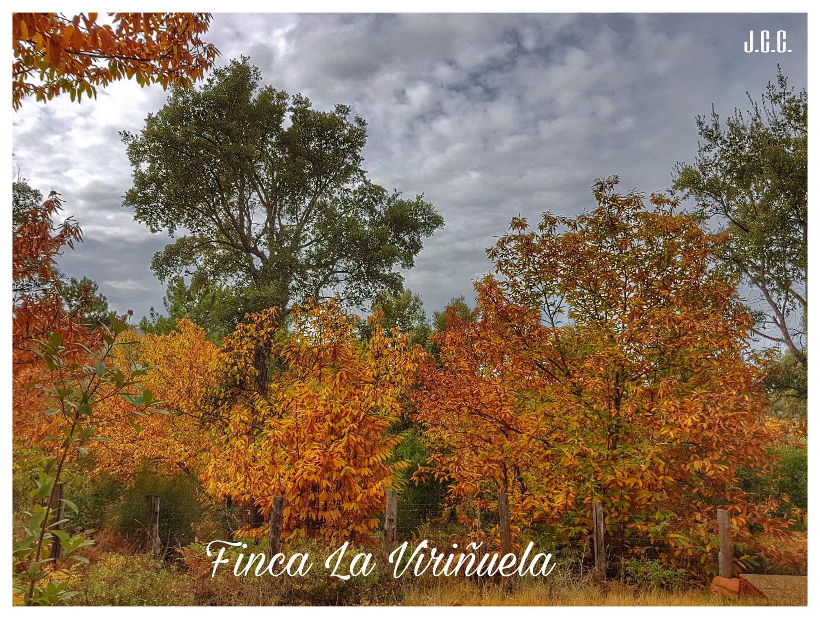 Finca la Viriñuela
