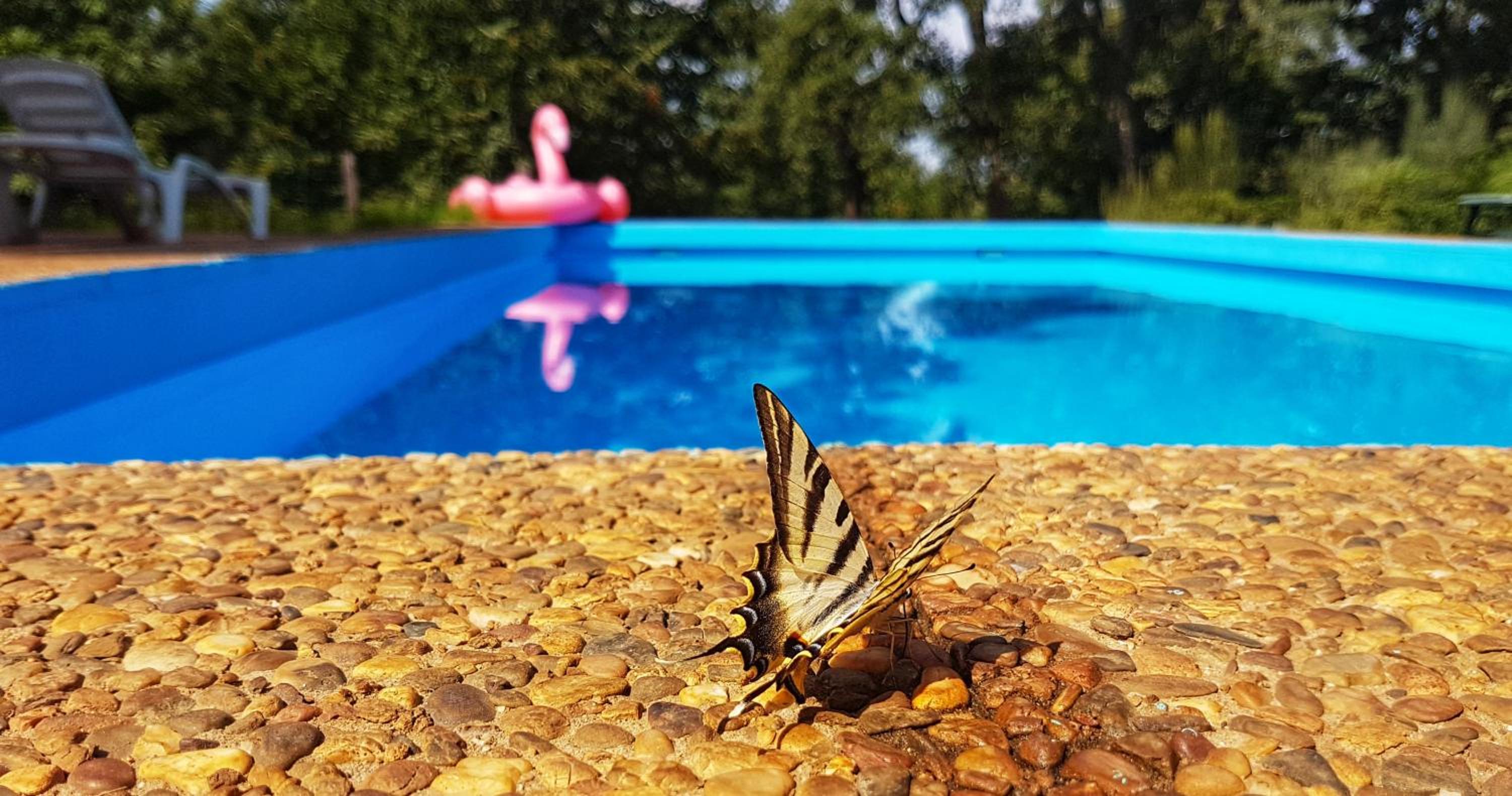 Finca la Viriñuela