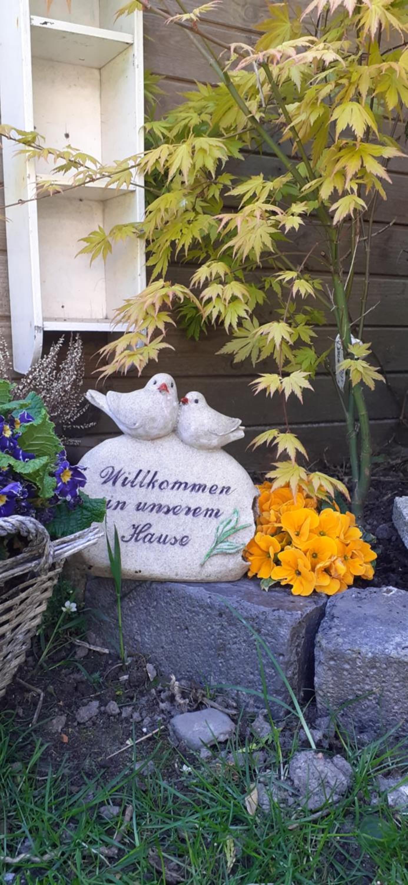 Familie Postma B&B Anjum view 2