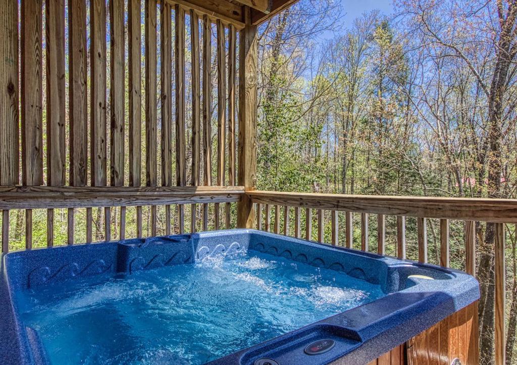 Up & Away, Hot Tub, Game Room, WIFI, 560 FREE tickets each paid day view 3