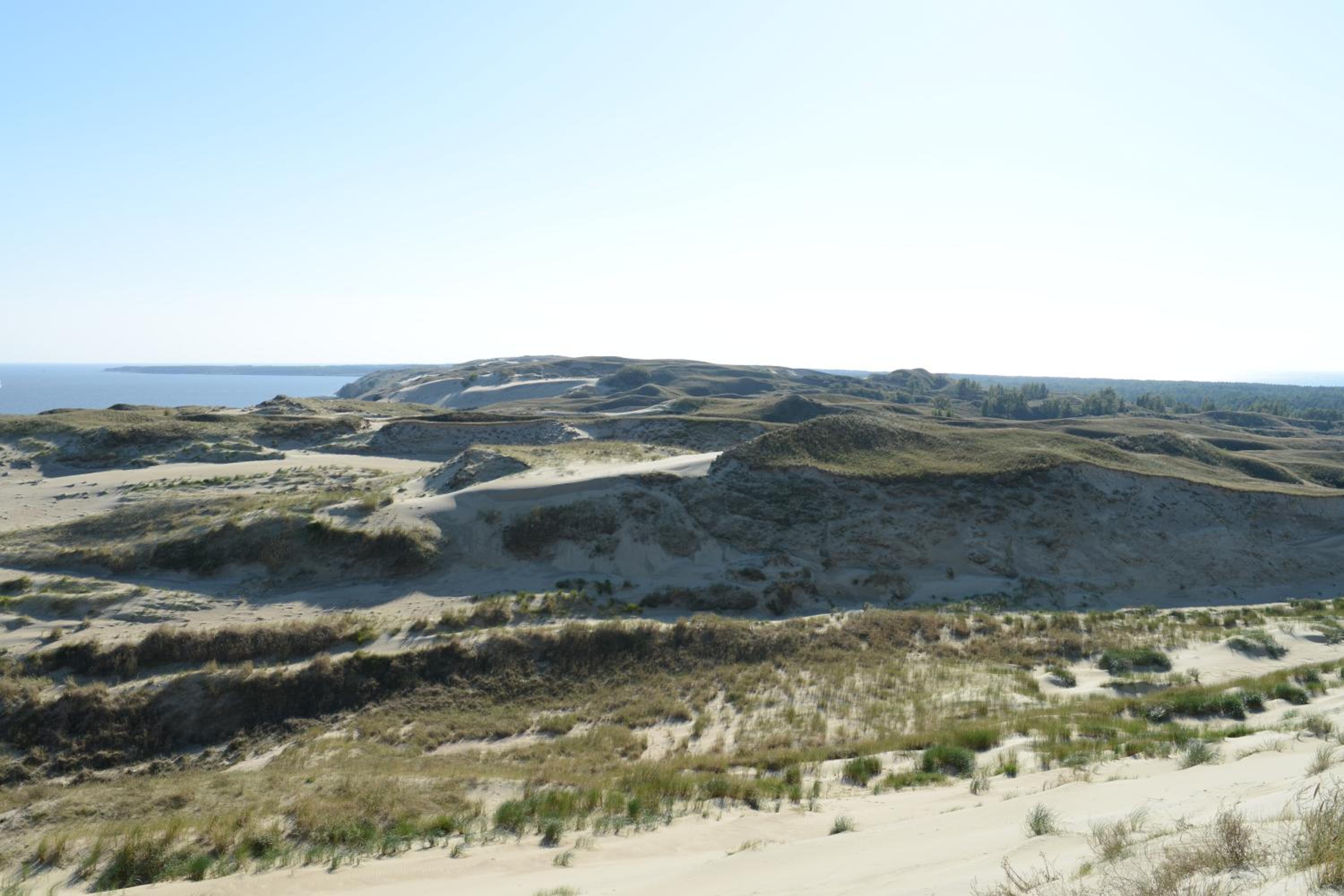 Photo 30