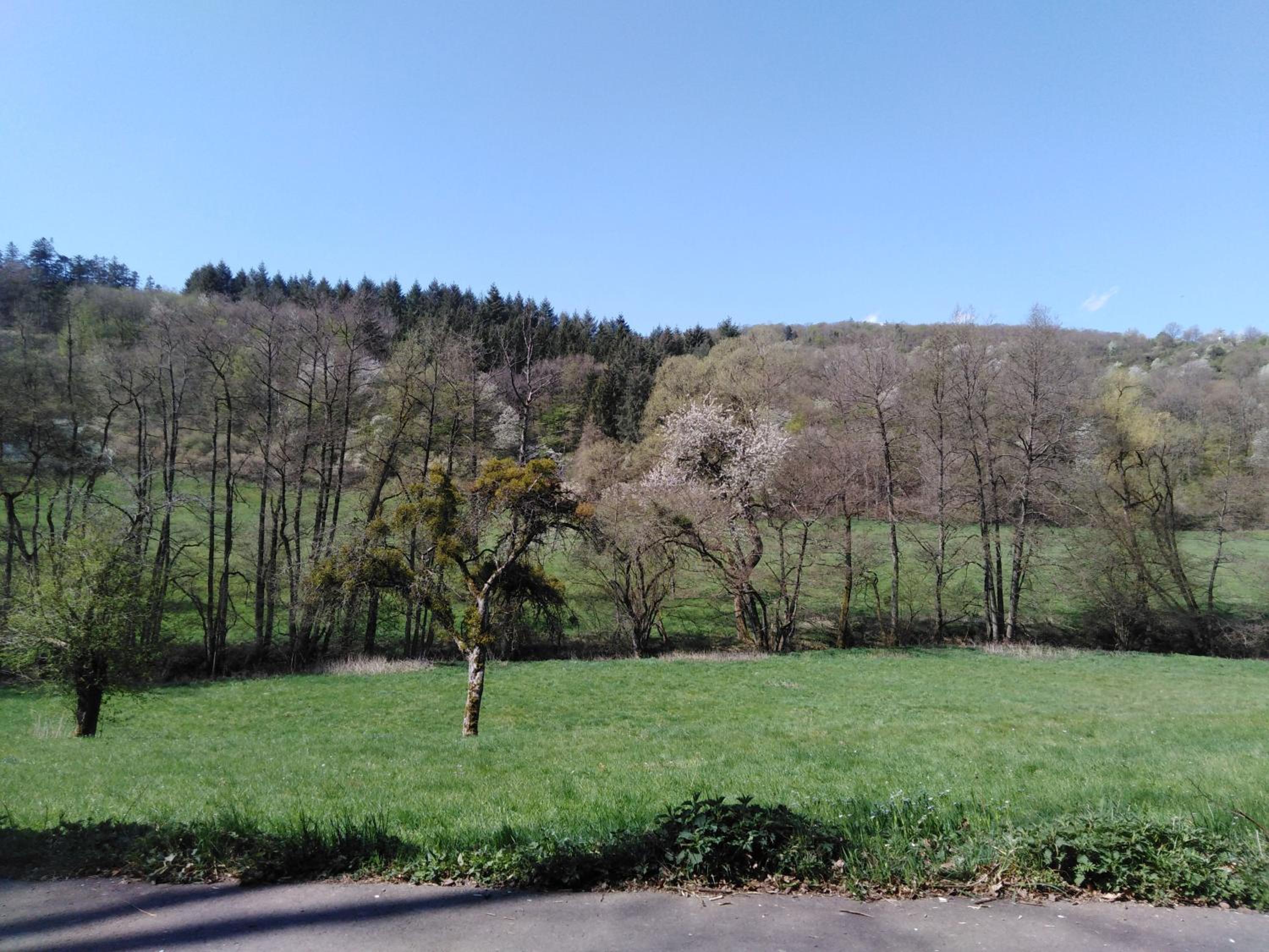 Ferienhaus Cilla