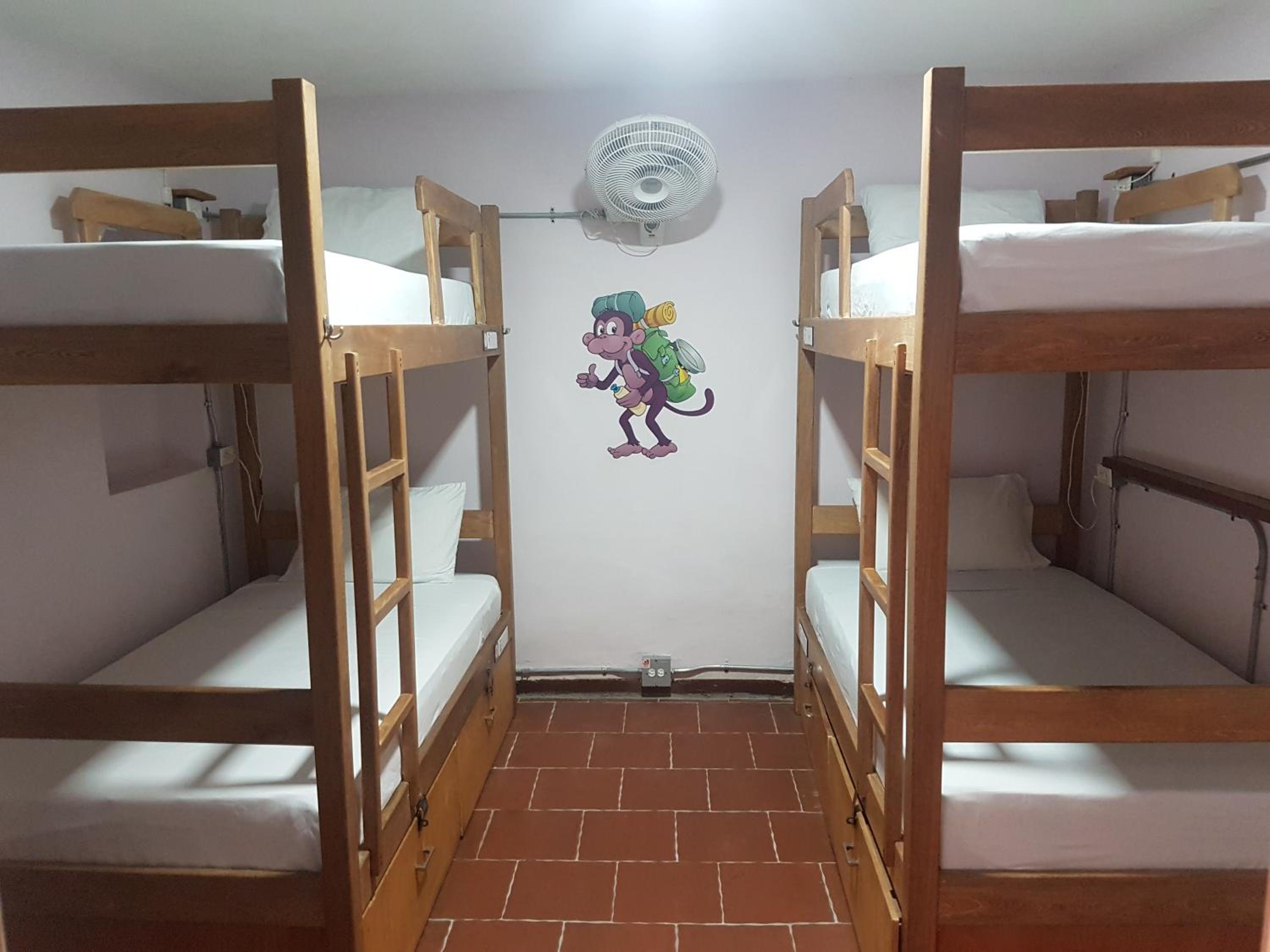 Purple Monkey Hostel