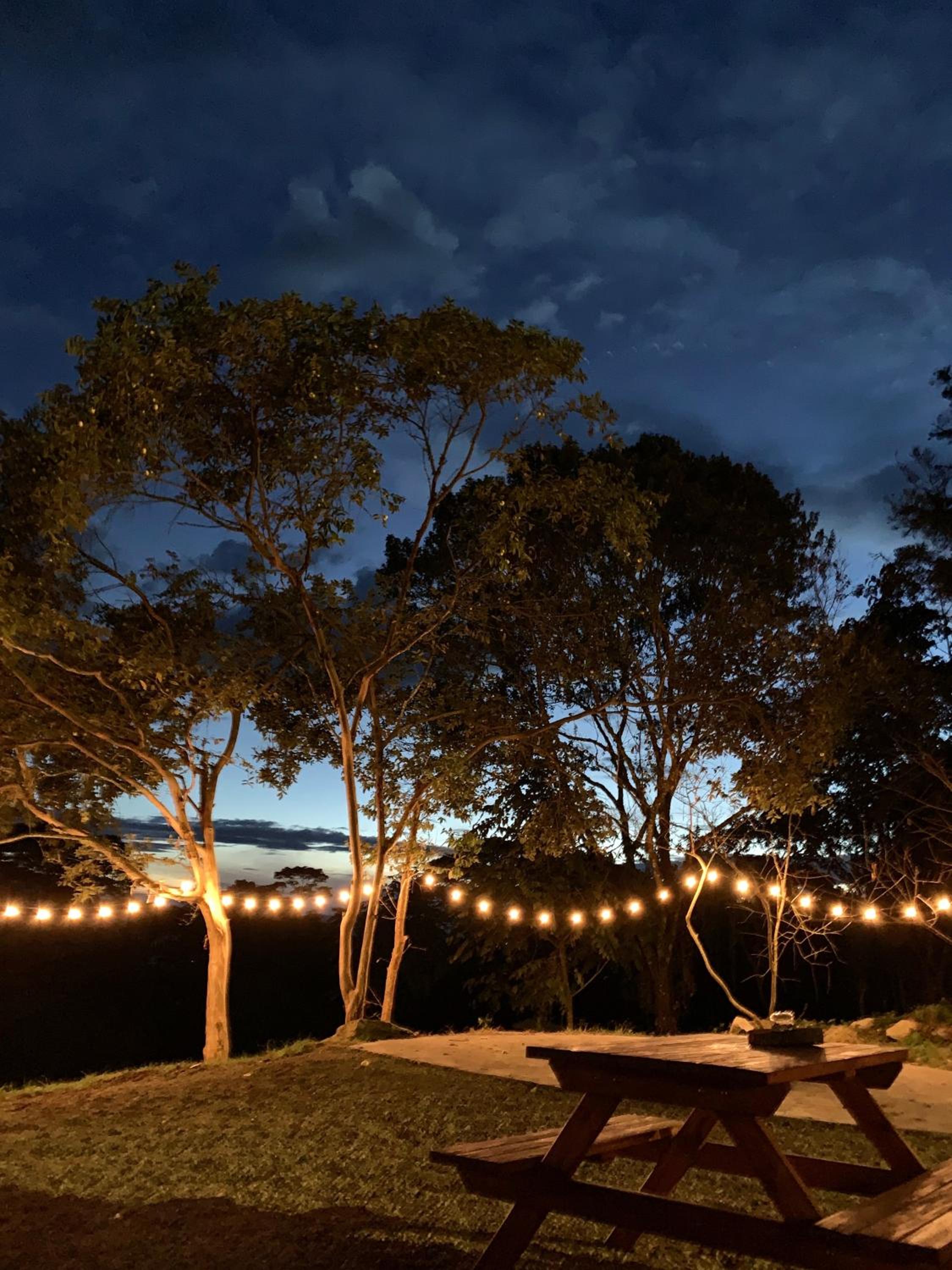 Bosque de Aventura & Glamping El Refugio del Bosque