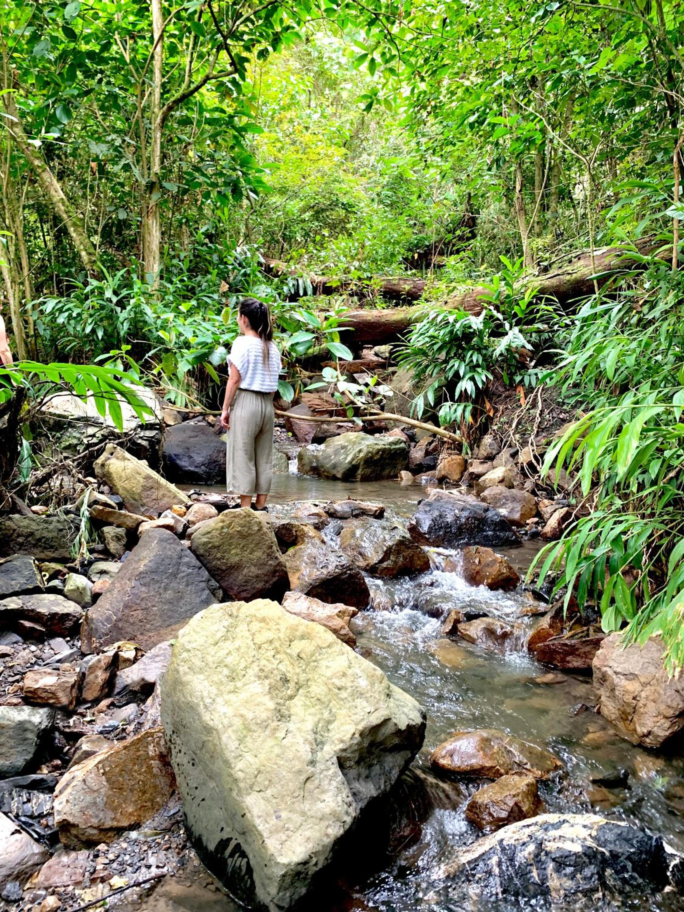 Bosque de Aventura & Glamping El Refugio del Bosque