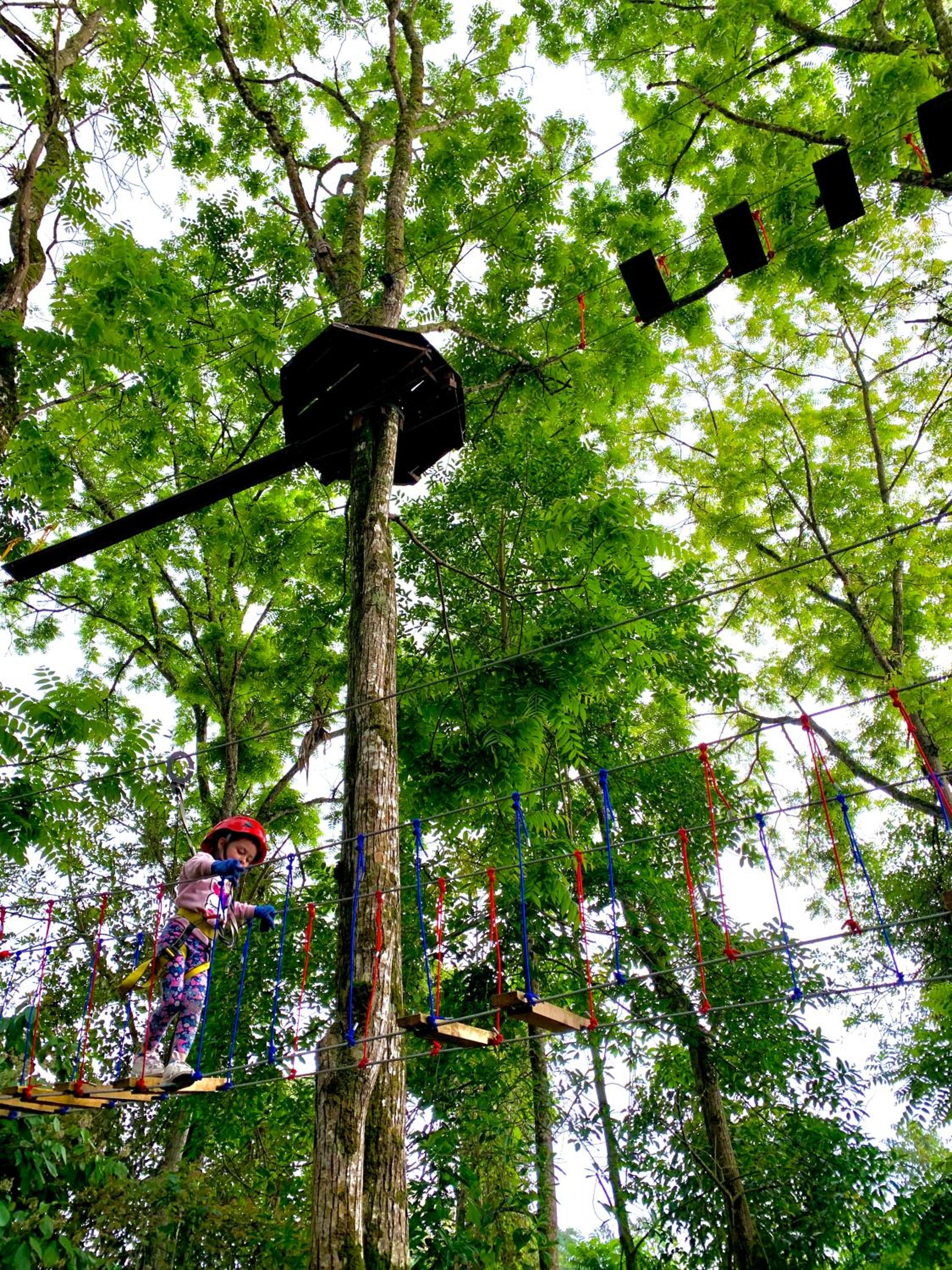 Bosque de Aventura & Glamping El Refugio del Bosque