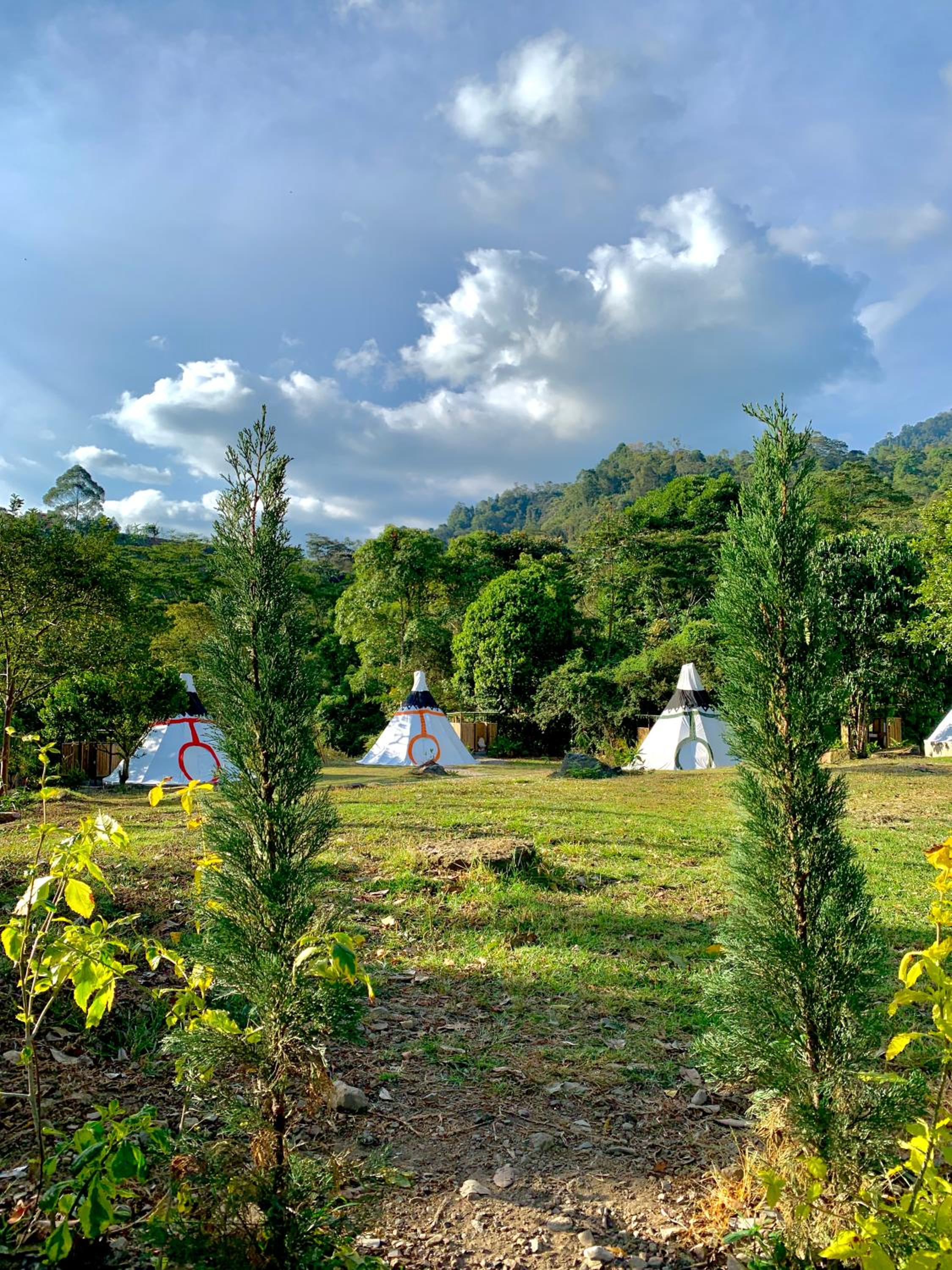 Bosque de Aventura & Glamping El Refugio del Bosque