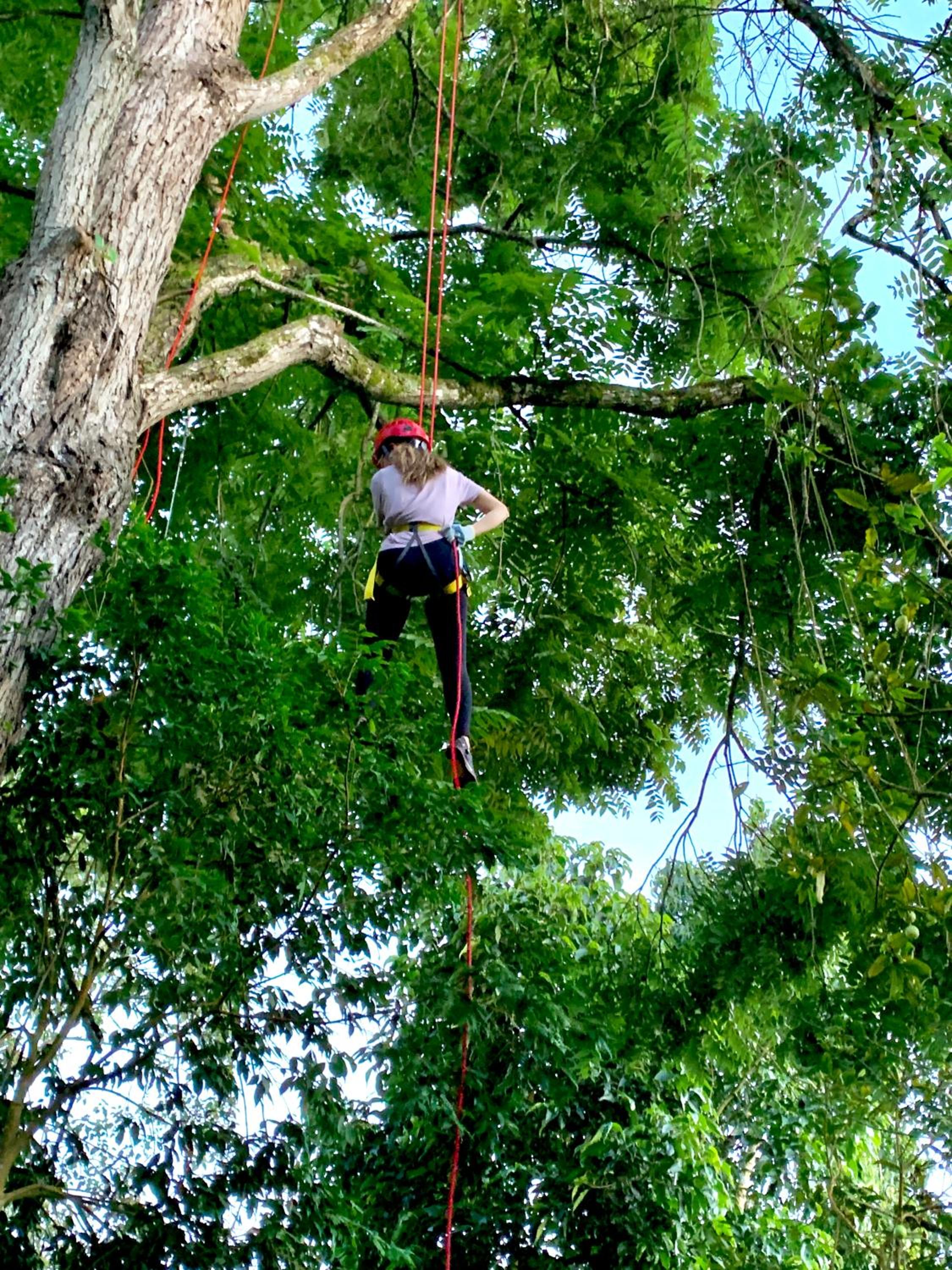 Bosque de Aventura & Glamping El Refugio del Bosque