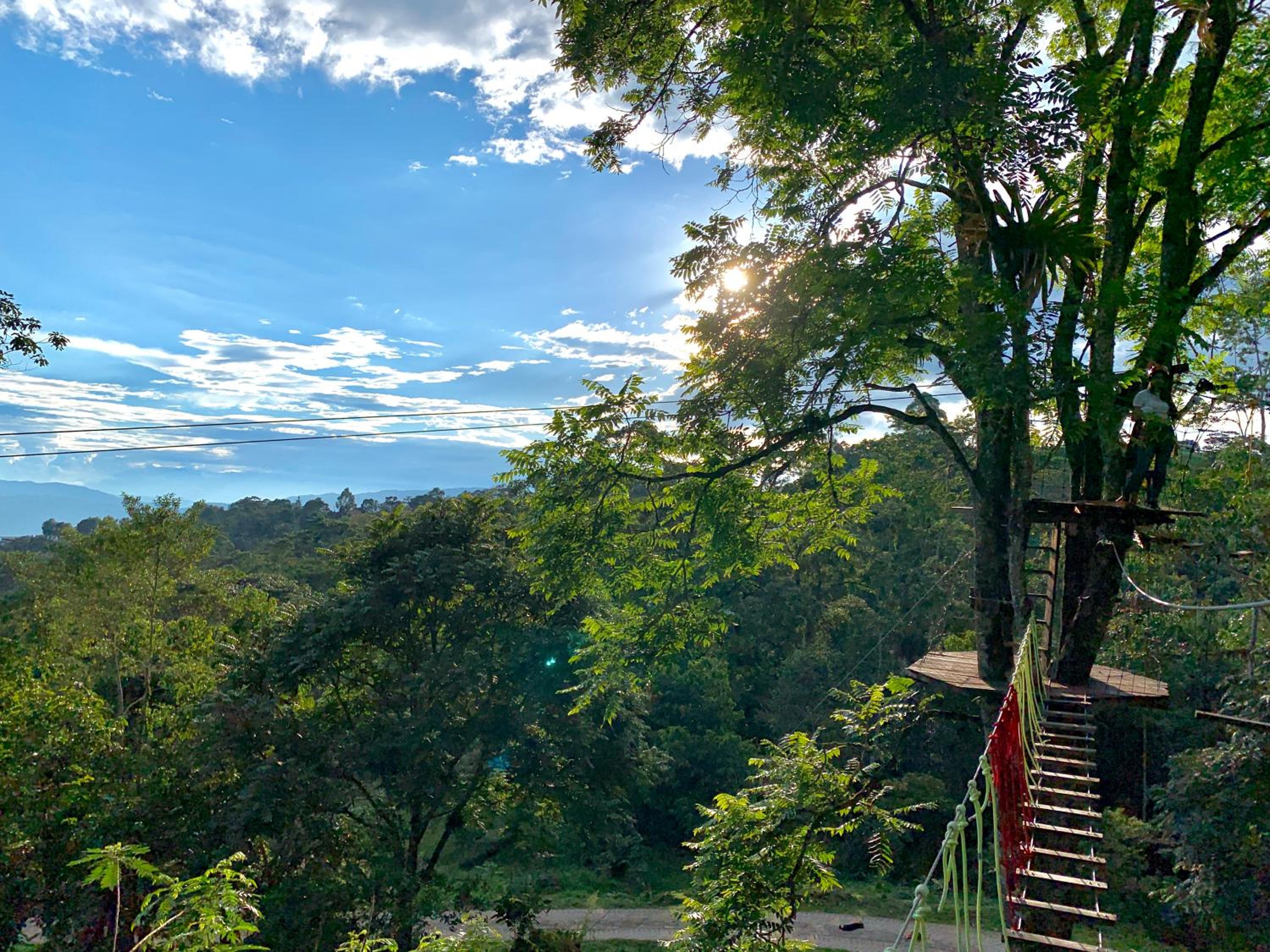 Bosque de Aventura & Glamping El Refugio del Bosque