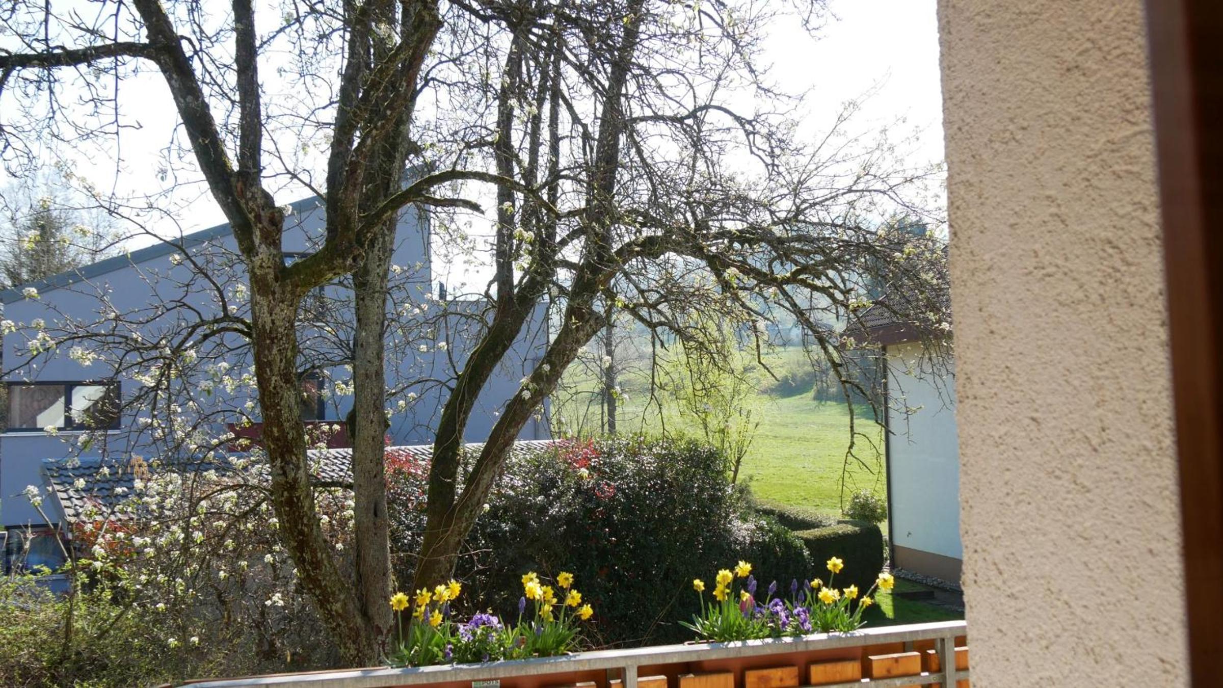 Haus Johanna