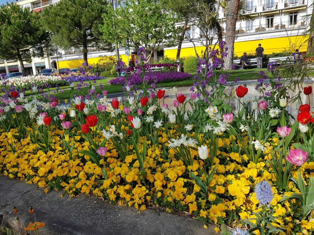 Photo 47