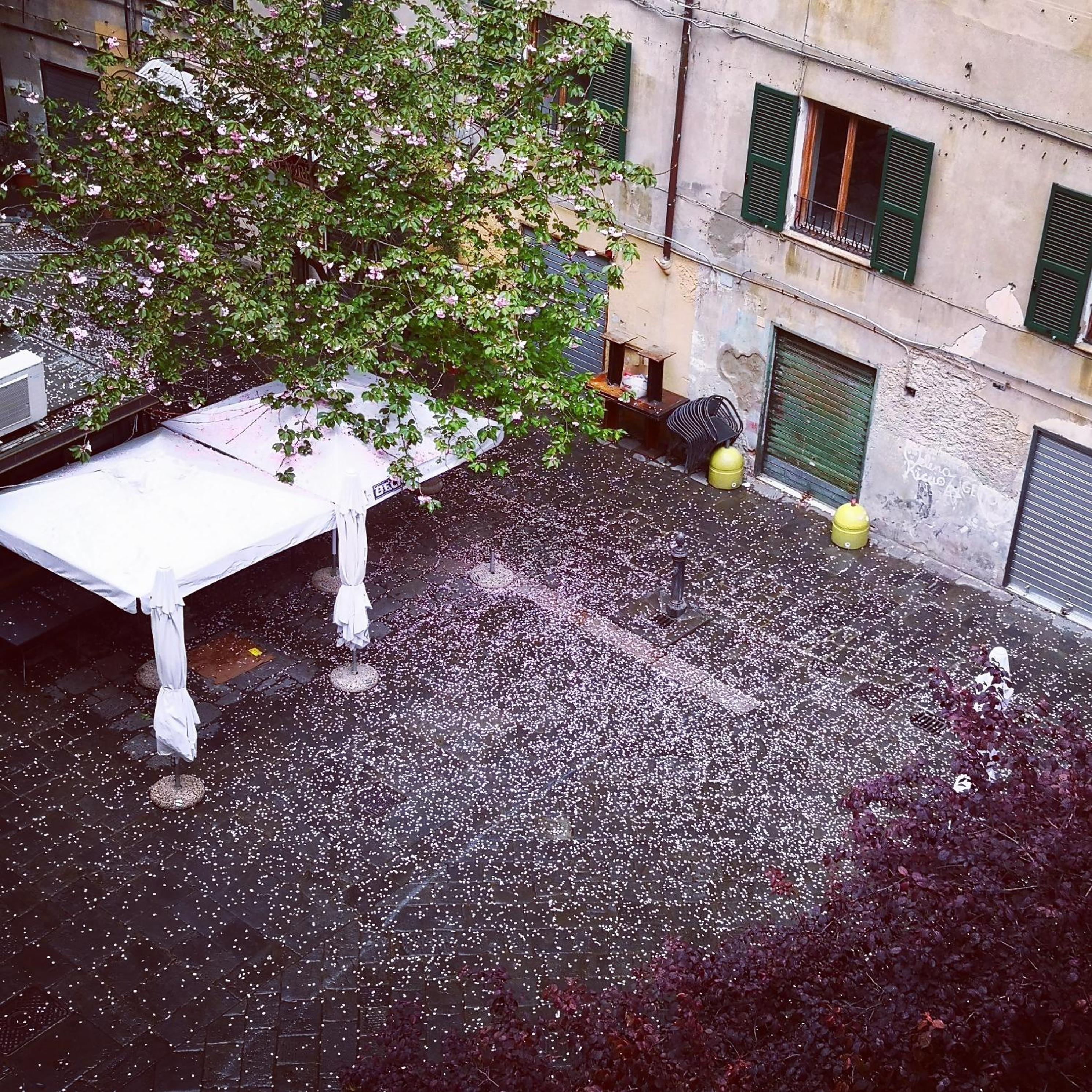 Lavagna Uno en Genova — other