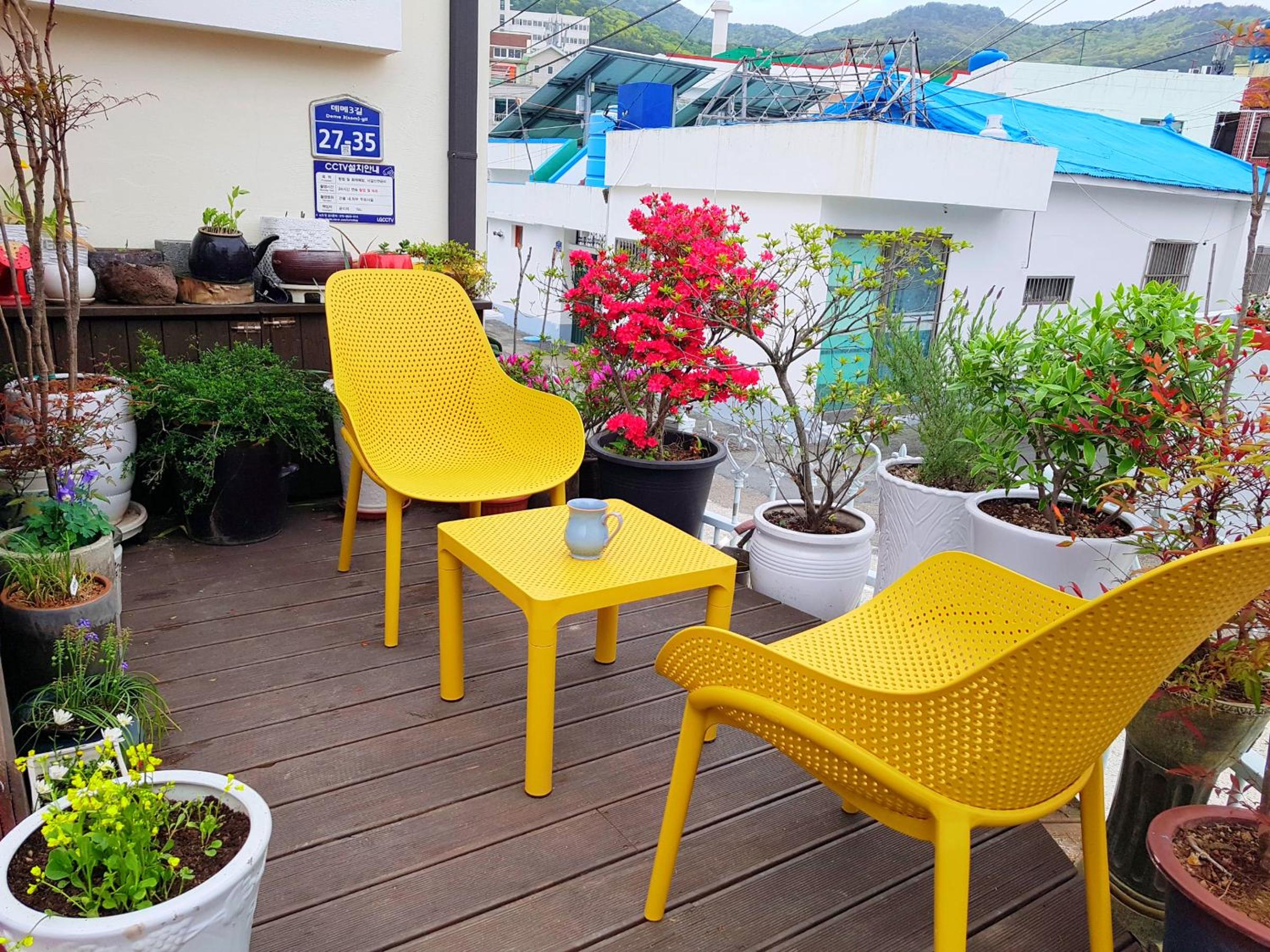 balance & terrace
