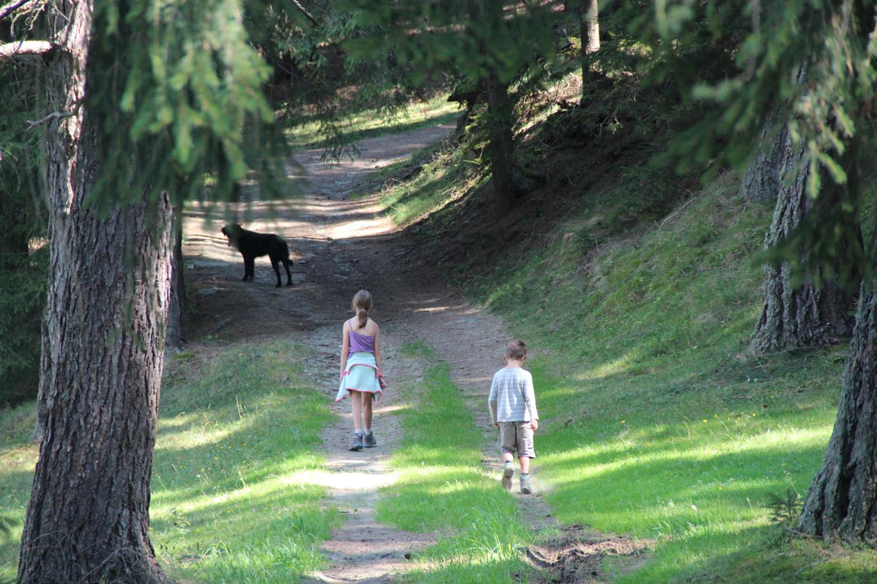 Naturpark Bauernhof Sperl