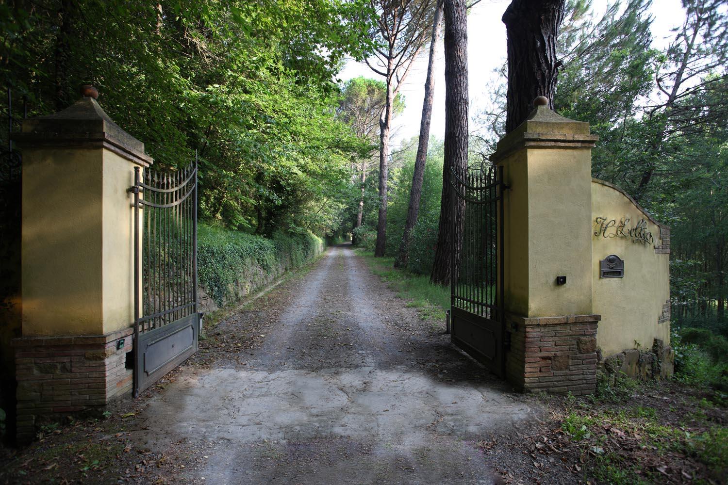 Photo 9
