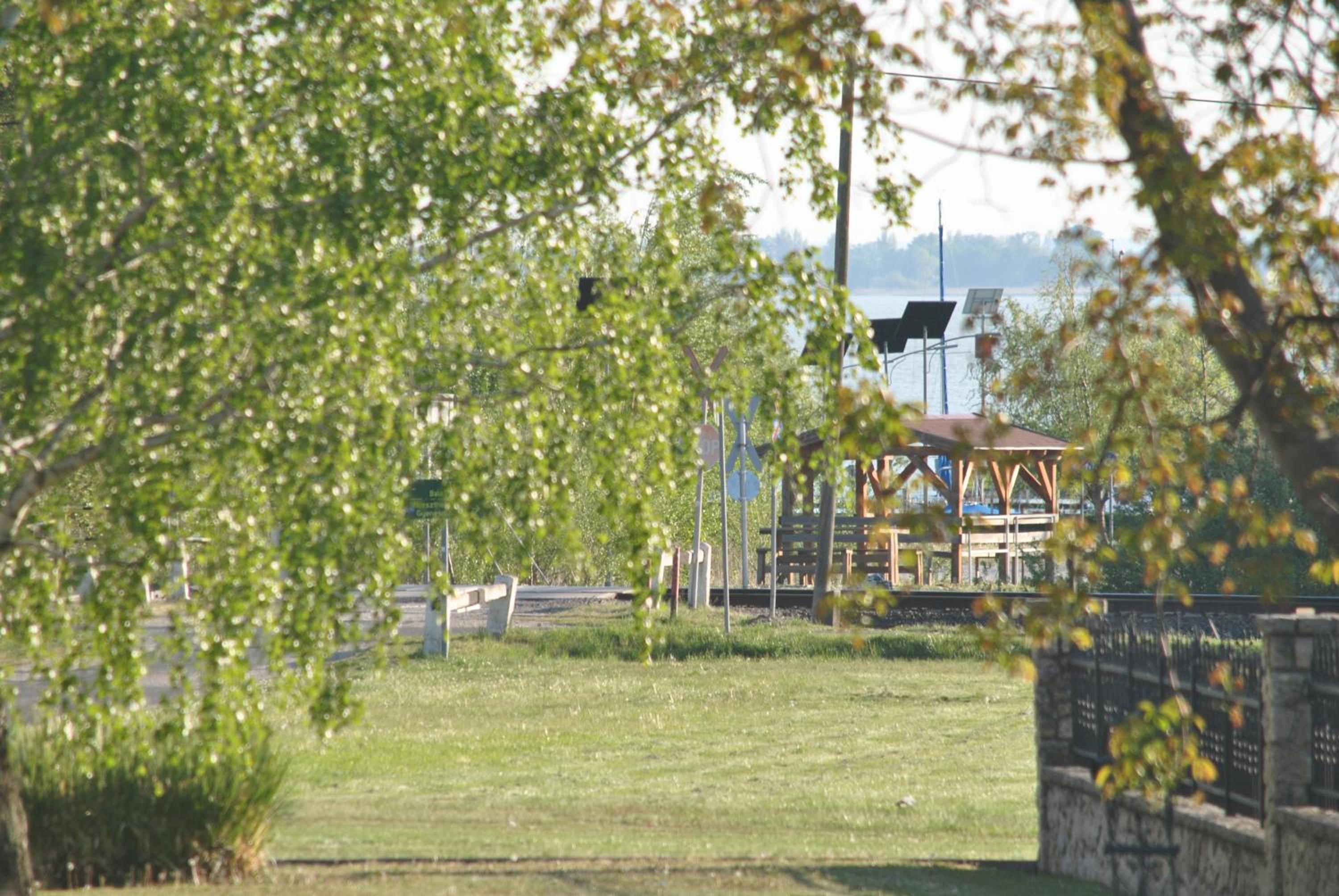 Photo 20
