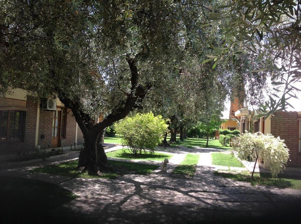 Cabañas Calderón I