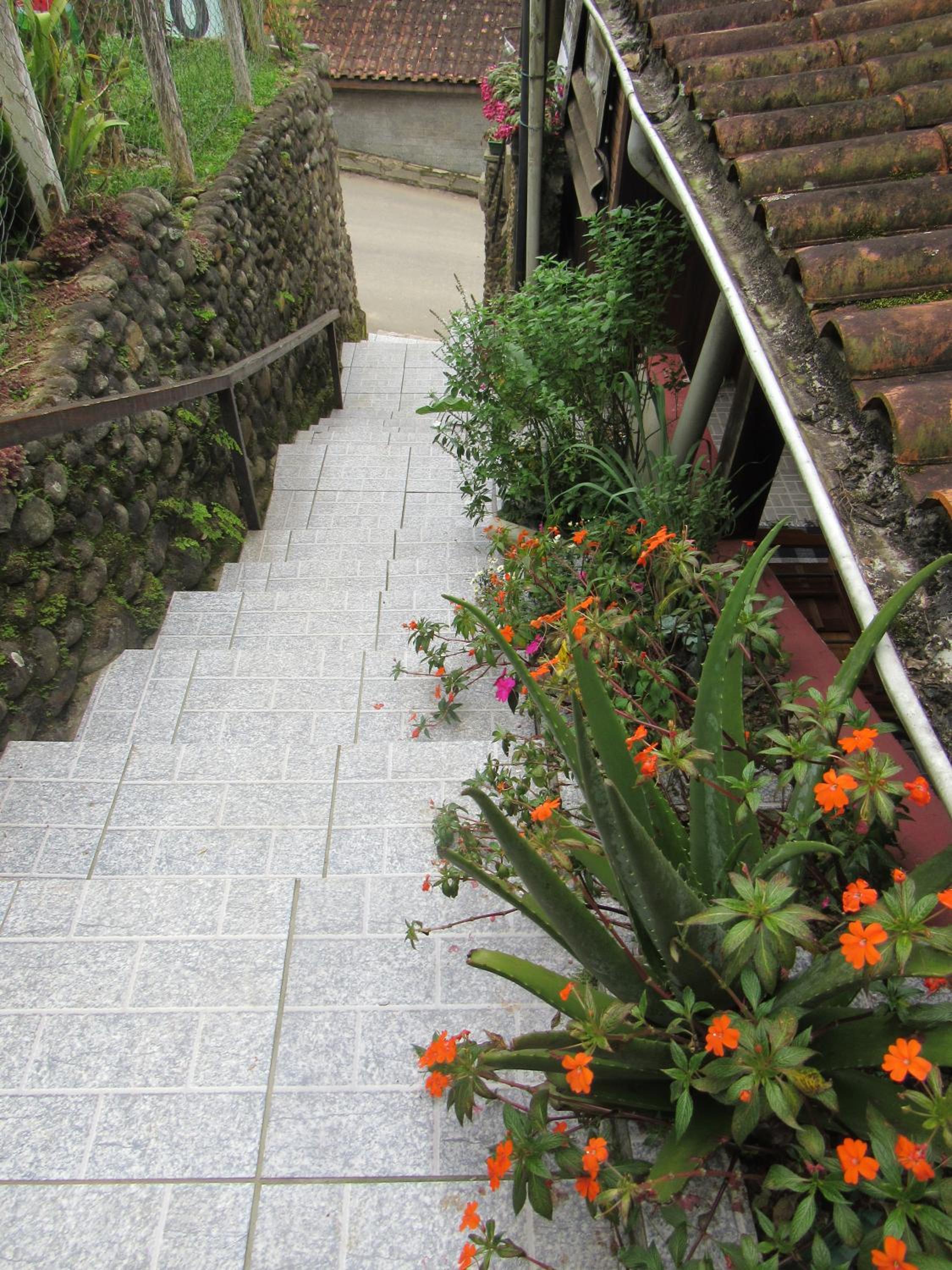 Photo 44
