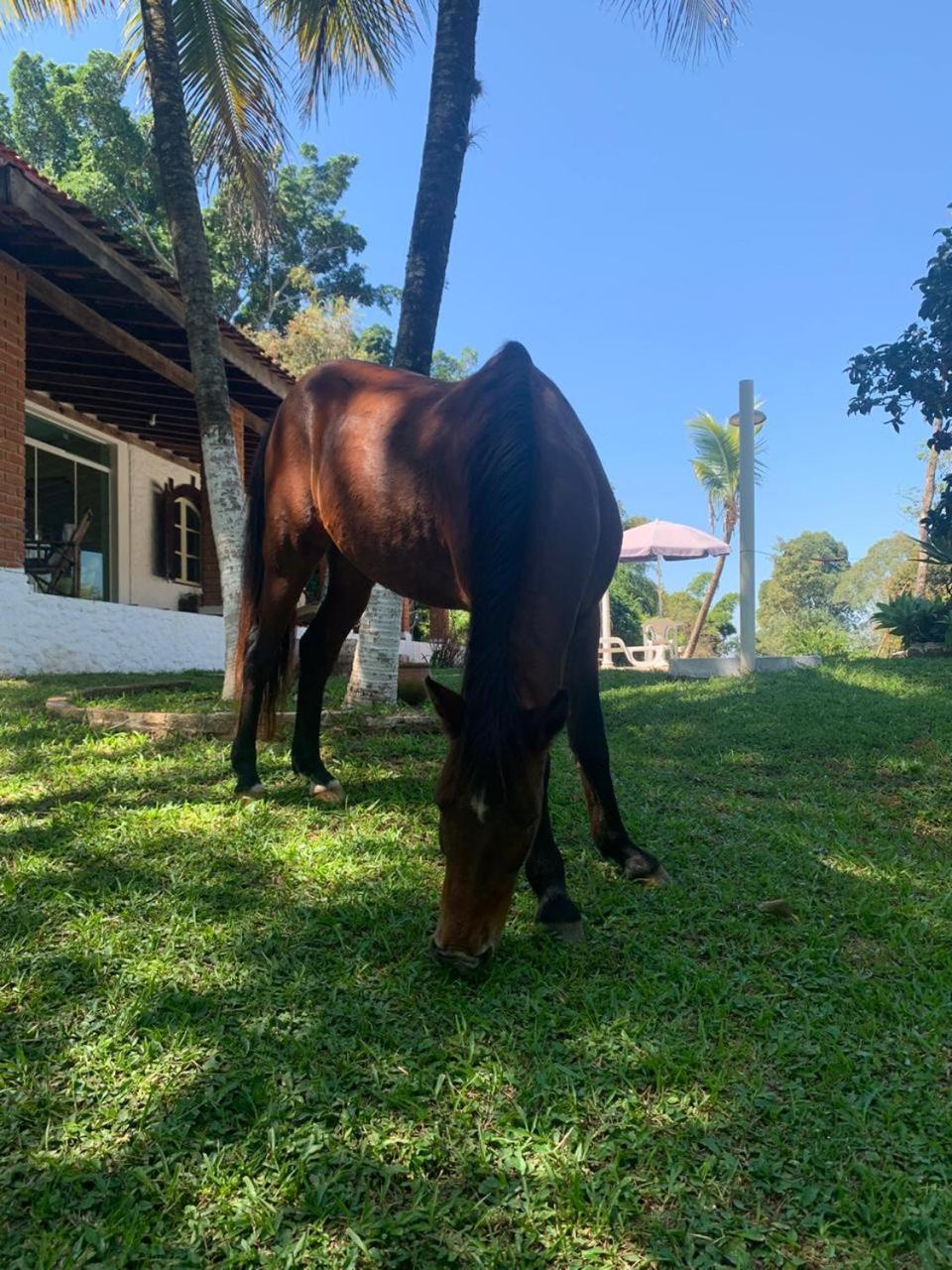 Rancho - São Pedro