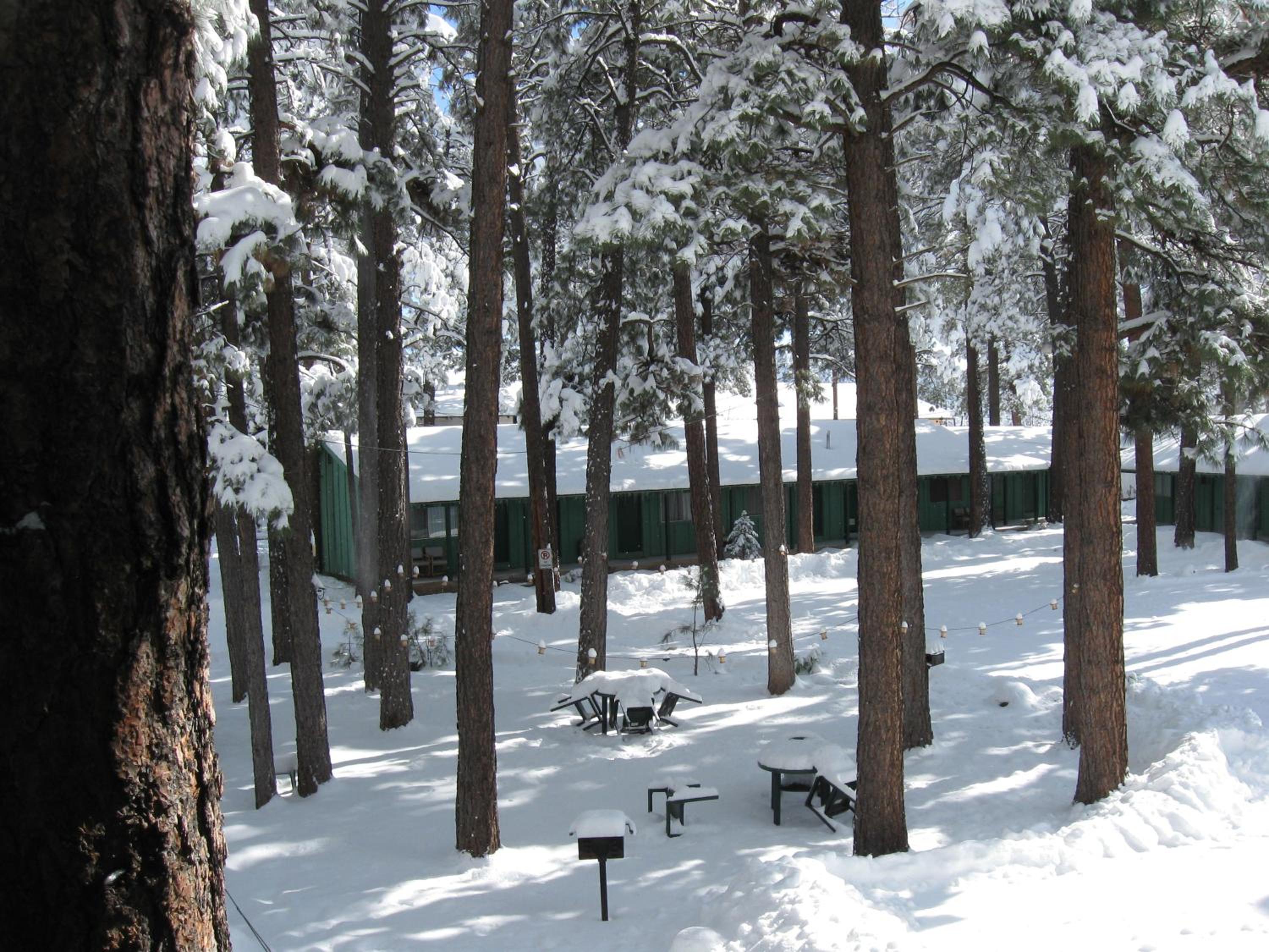 TimberLodge Inn