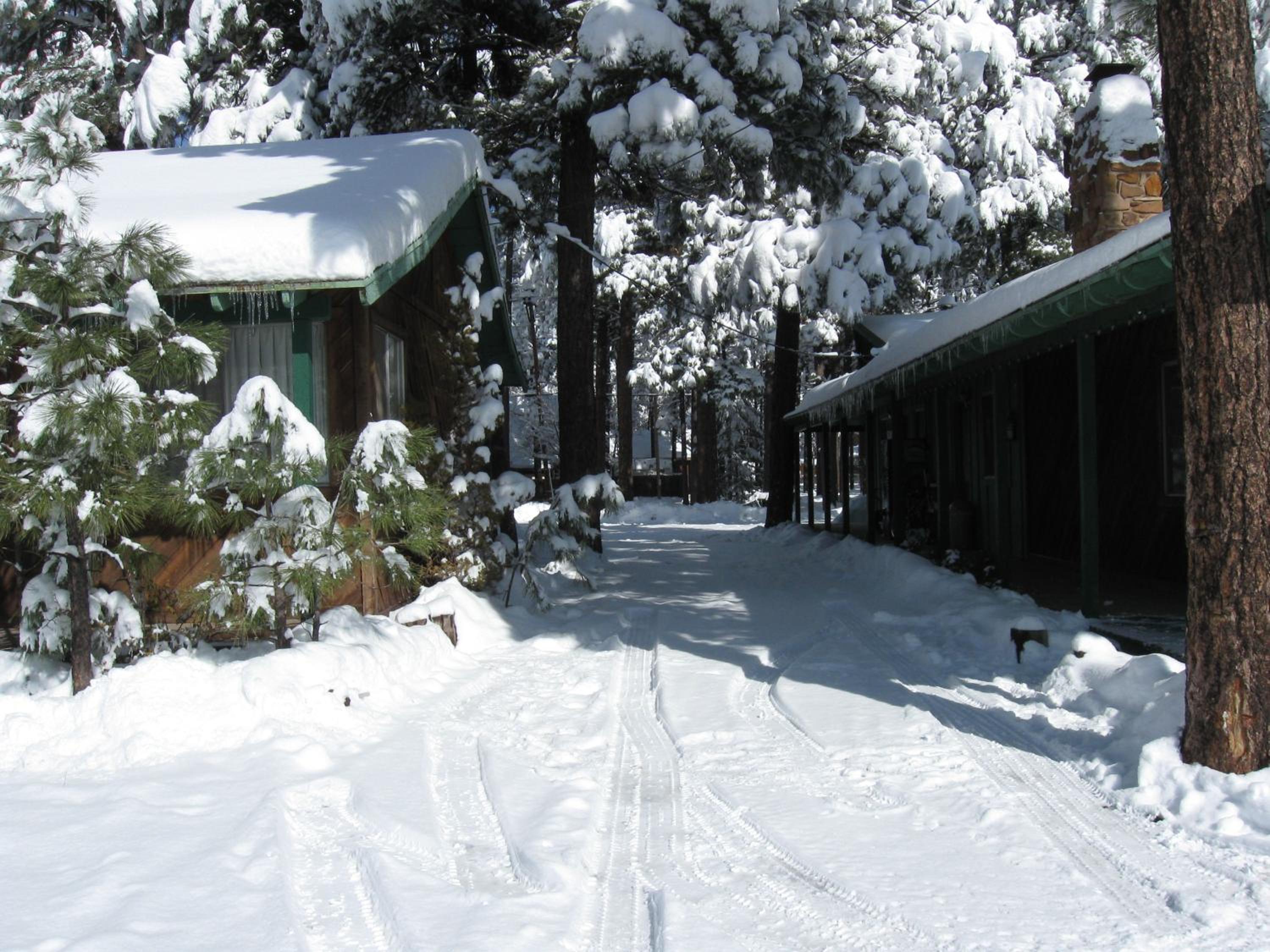 TimberLodge Inn