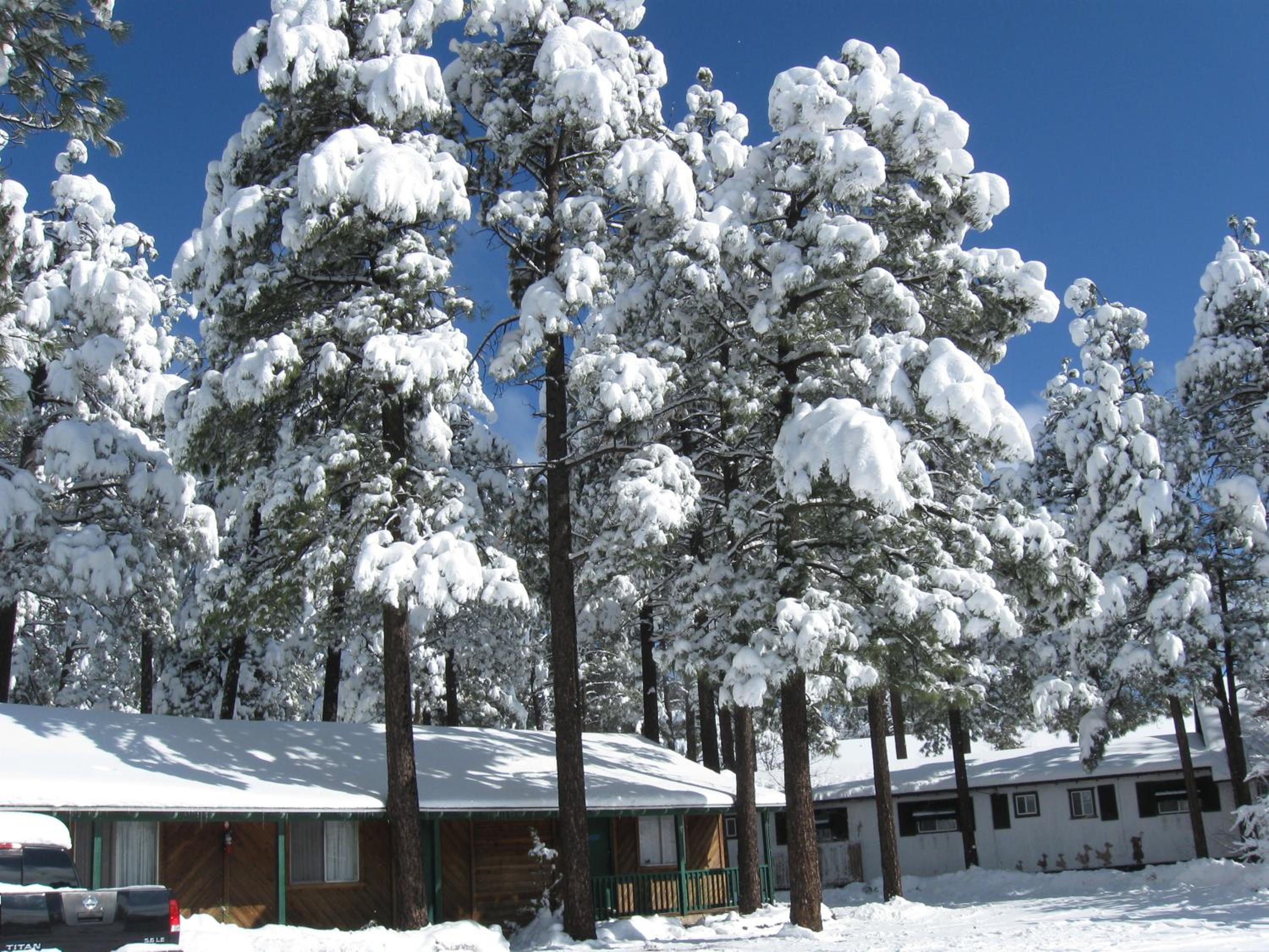 TimberLodge Inn