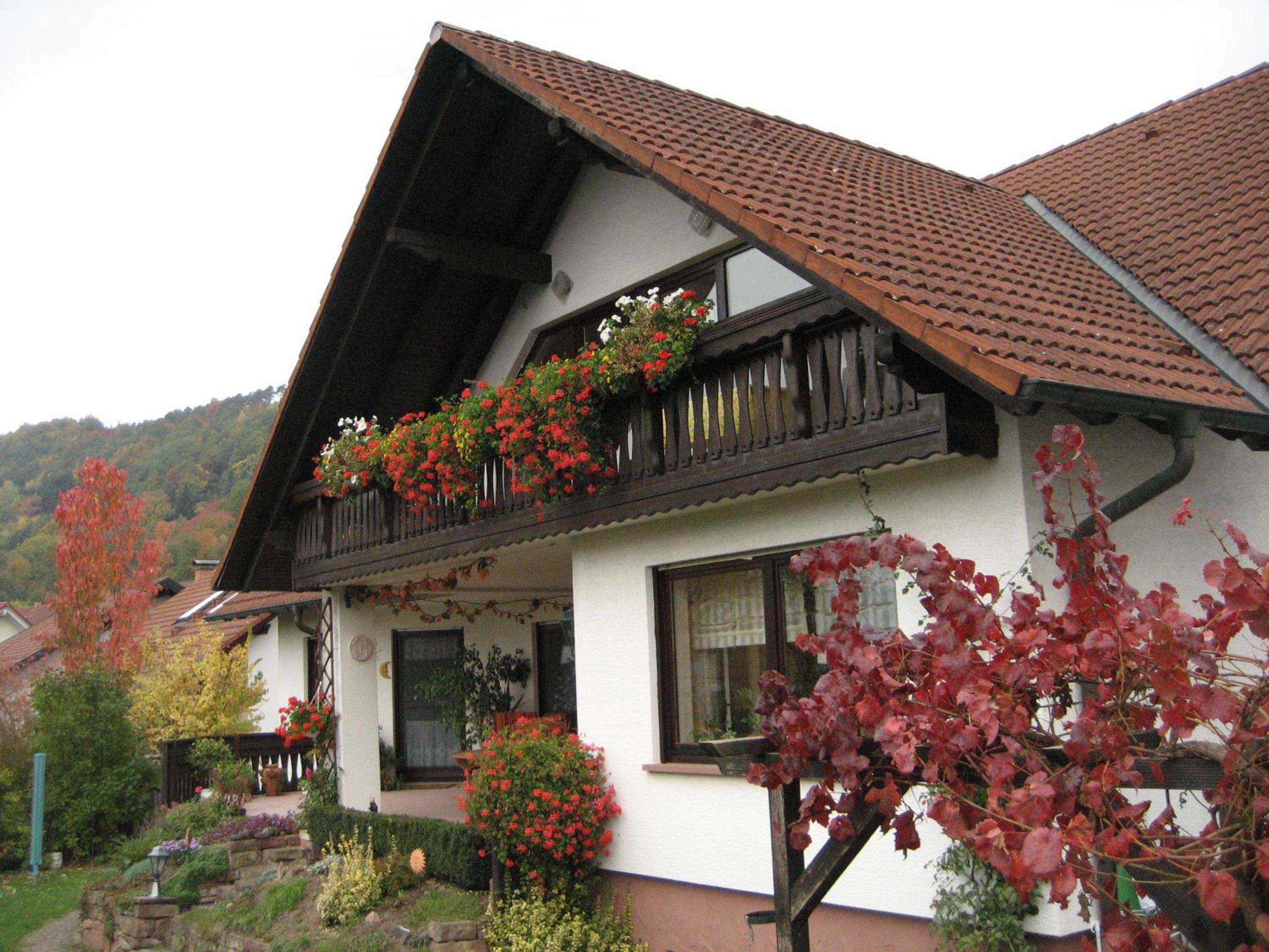 Ferienwohnungen Haus Albert view 2