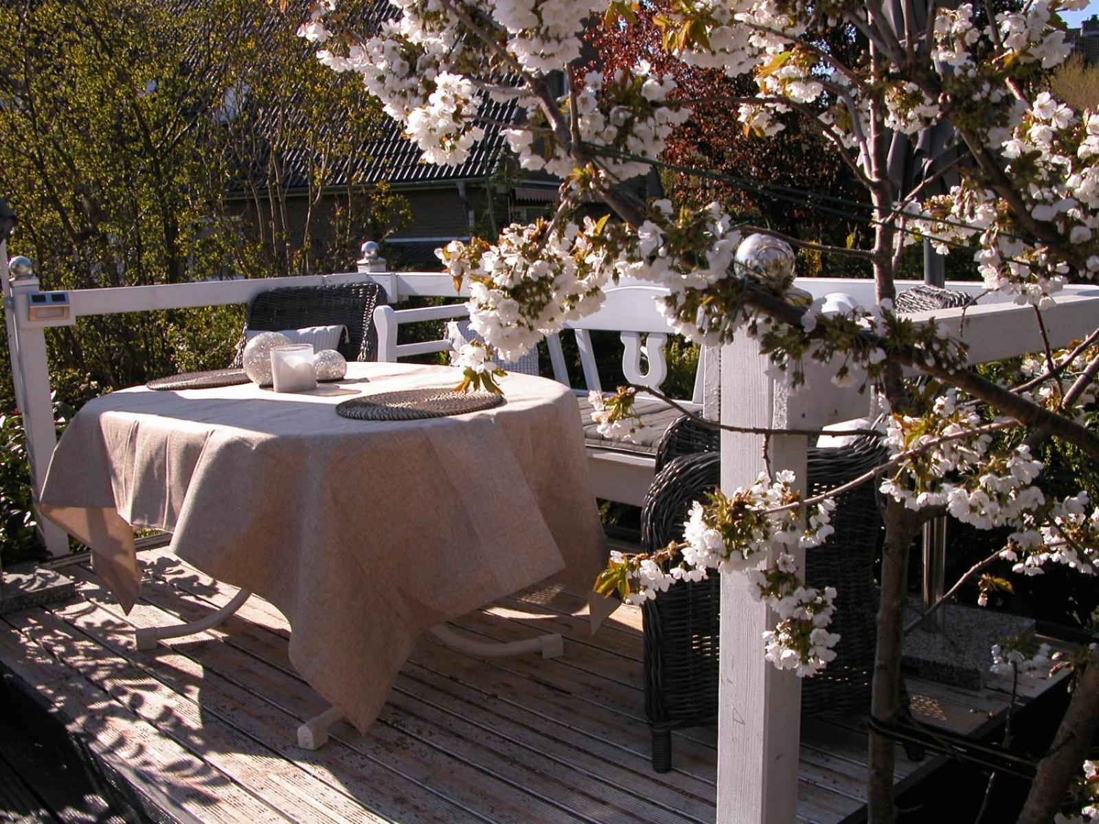 Quarterdeck61
