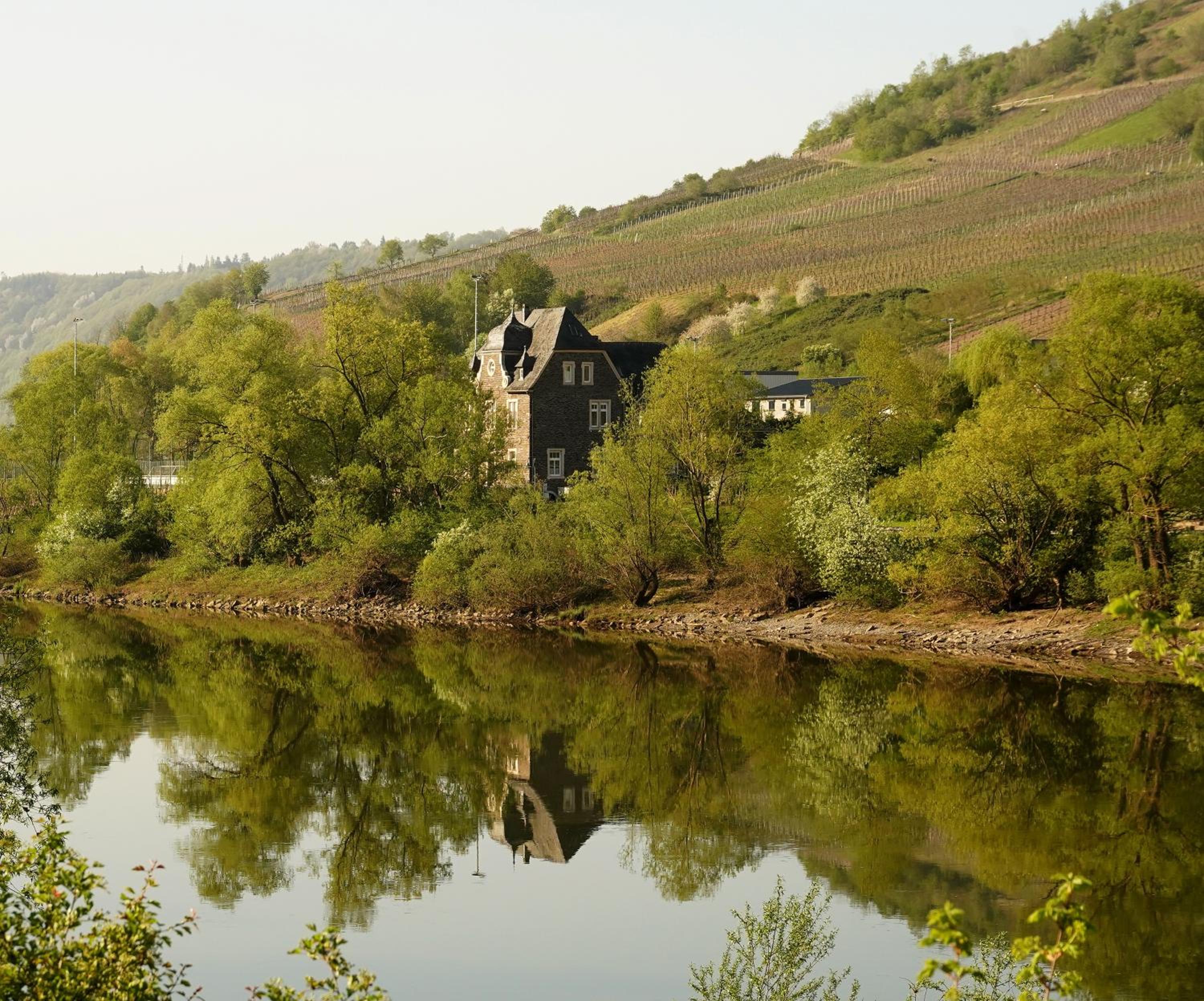 Haus Nummer 1, Moselblick view 5