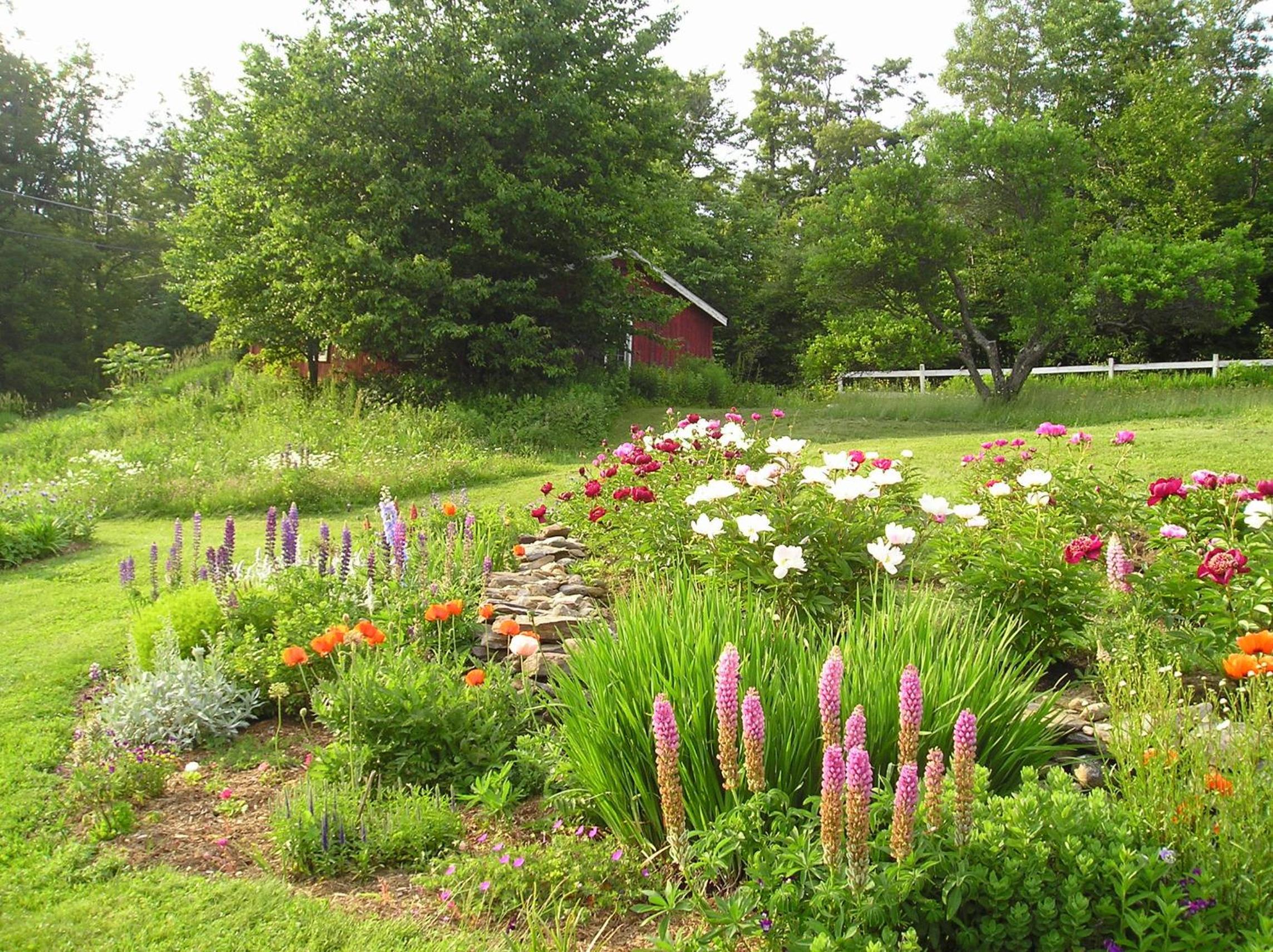 garden