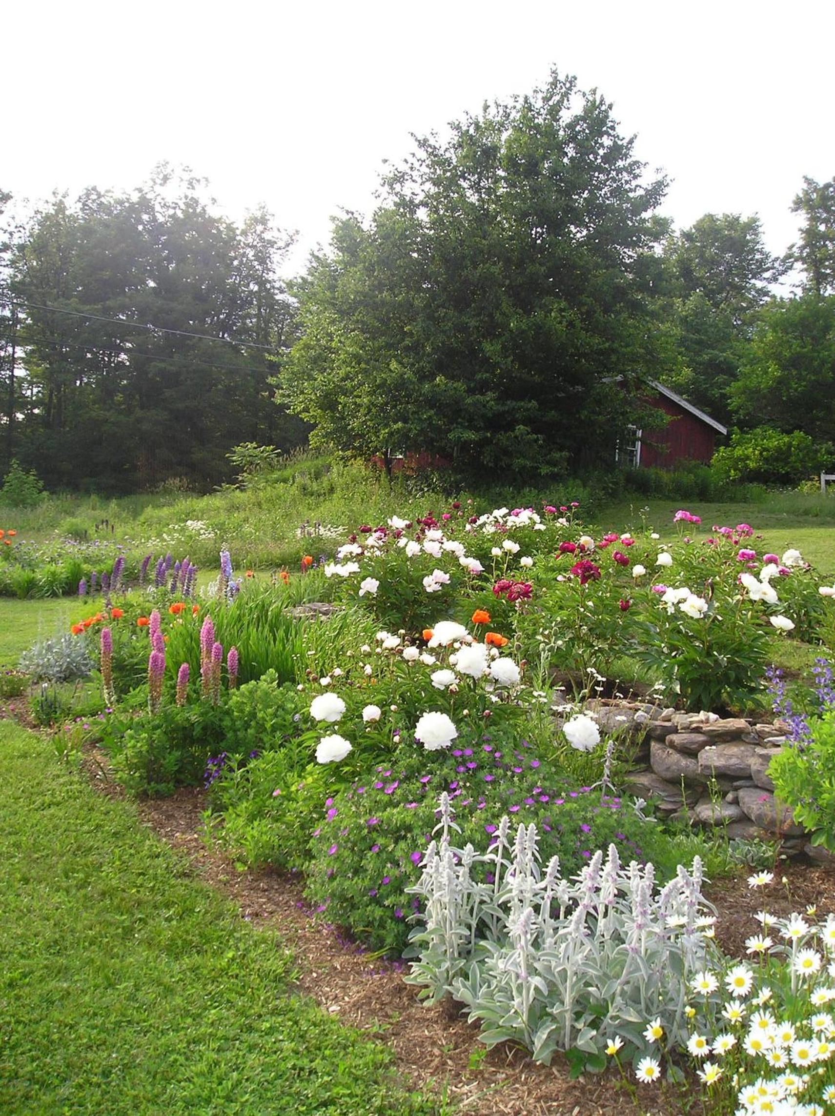 garden