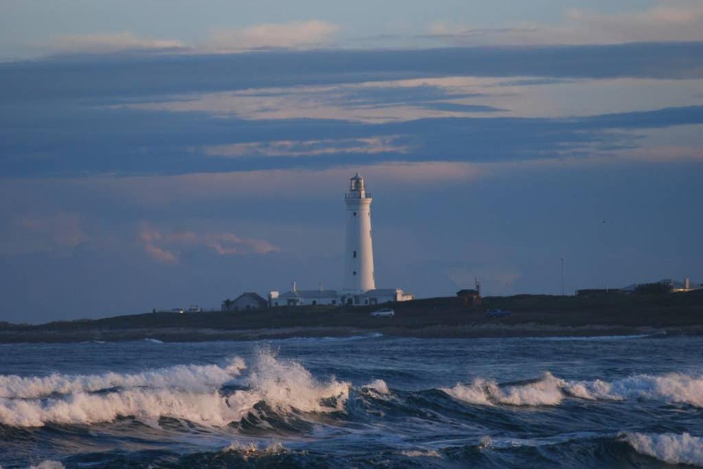Photo 50