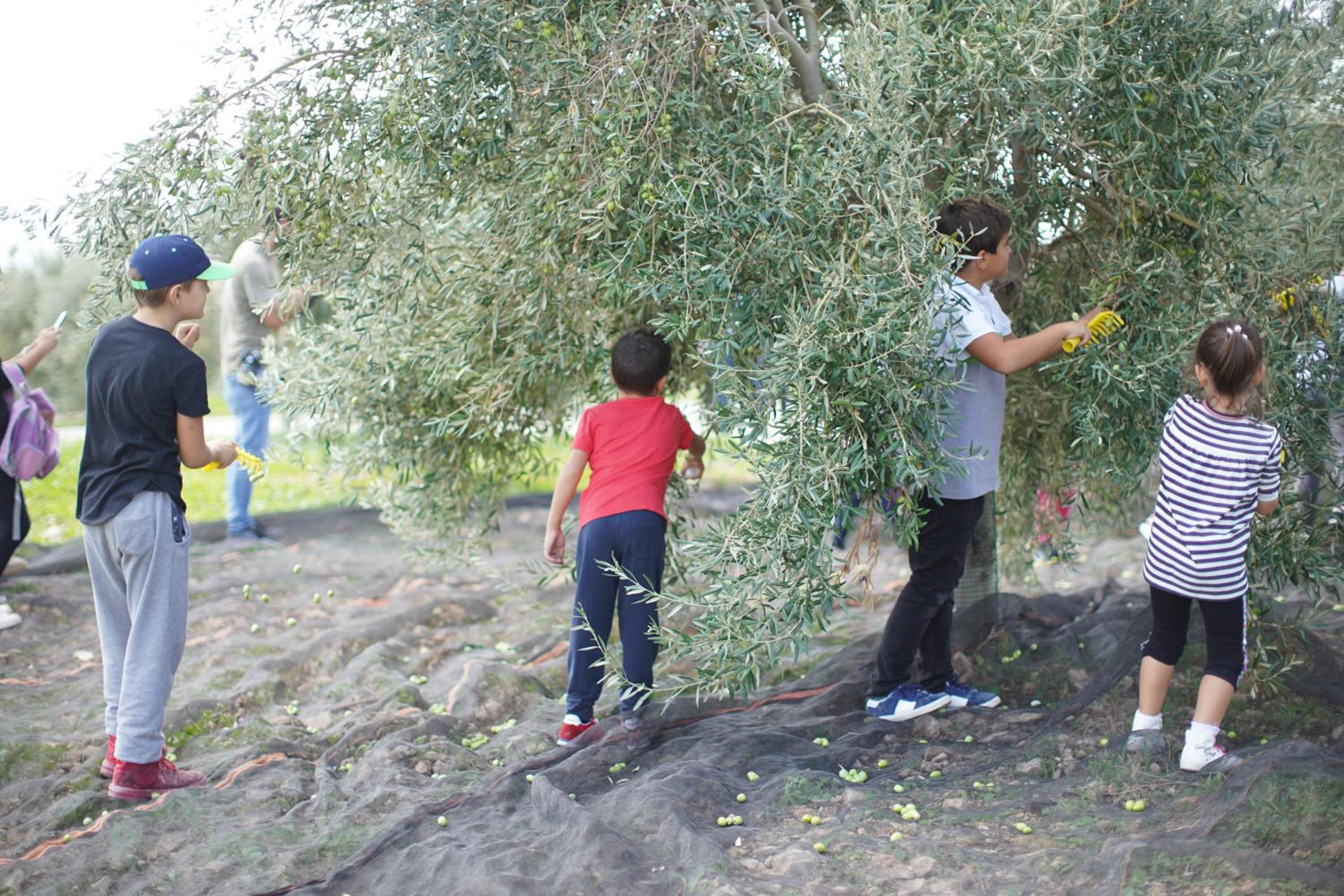 Photo 32