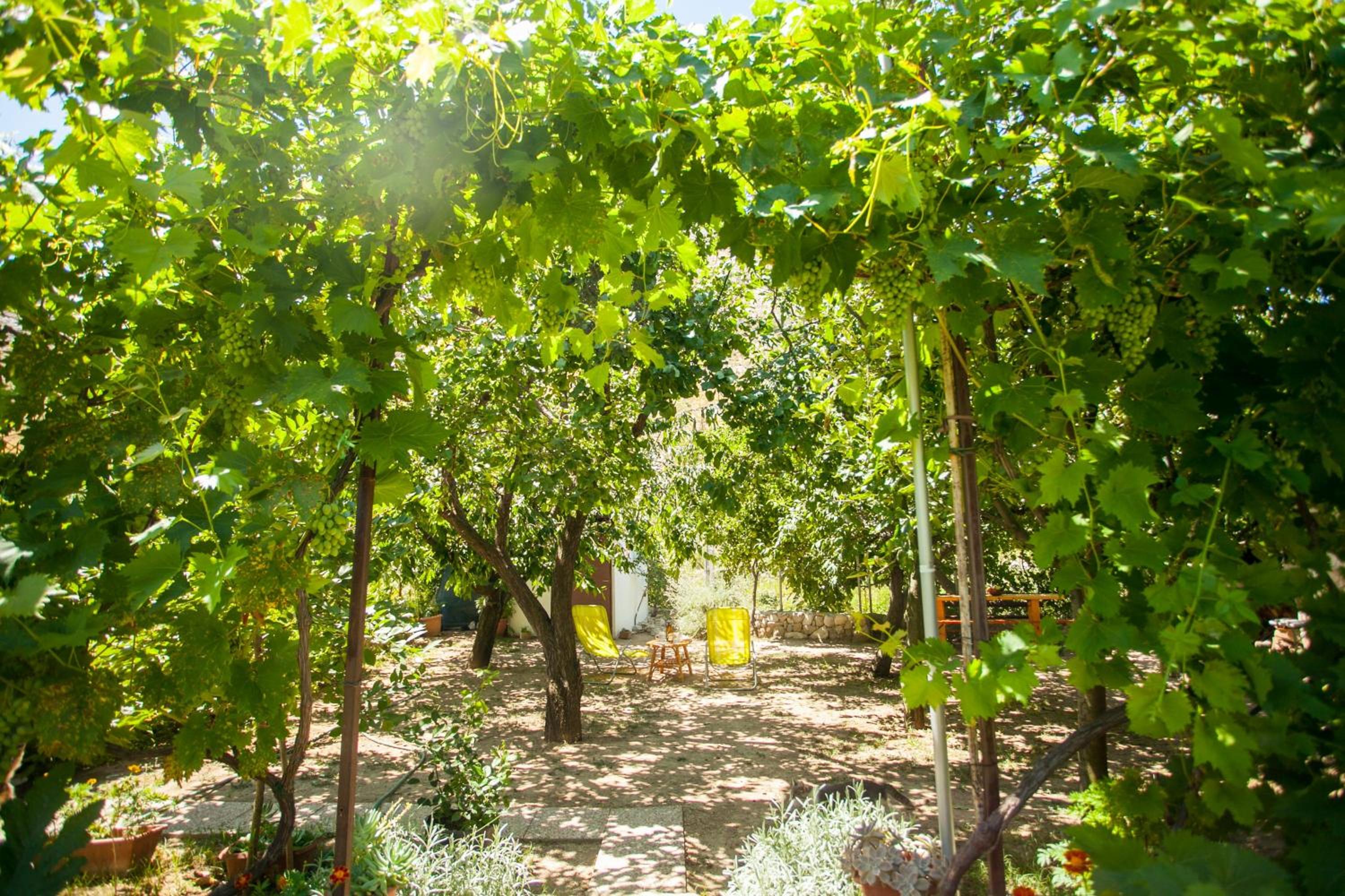 Photo 29
