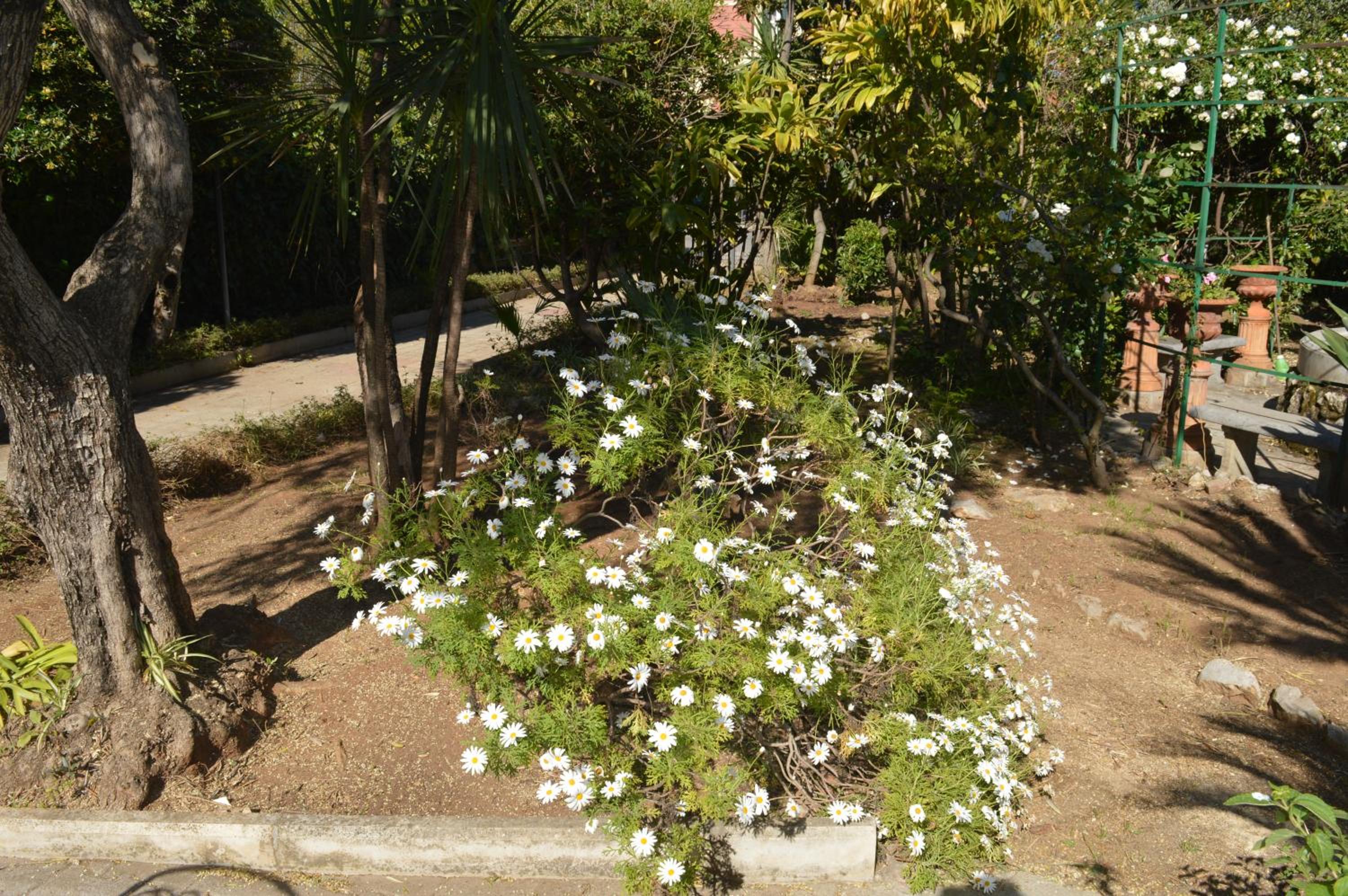 Photo 38